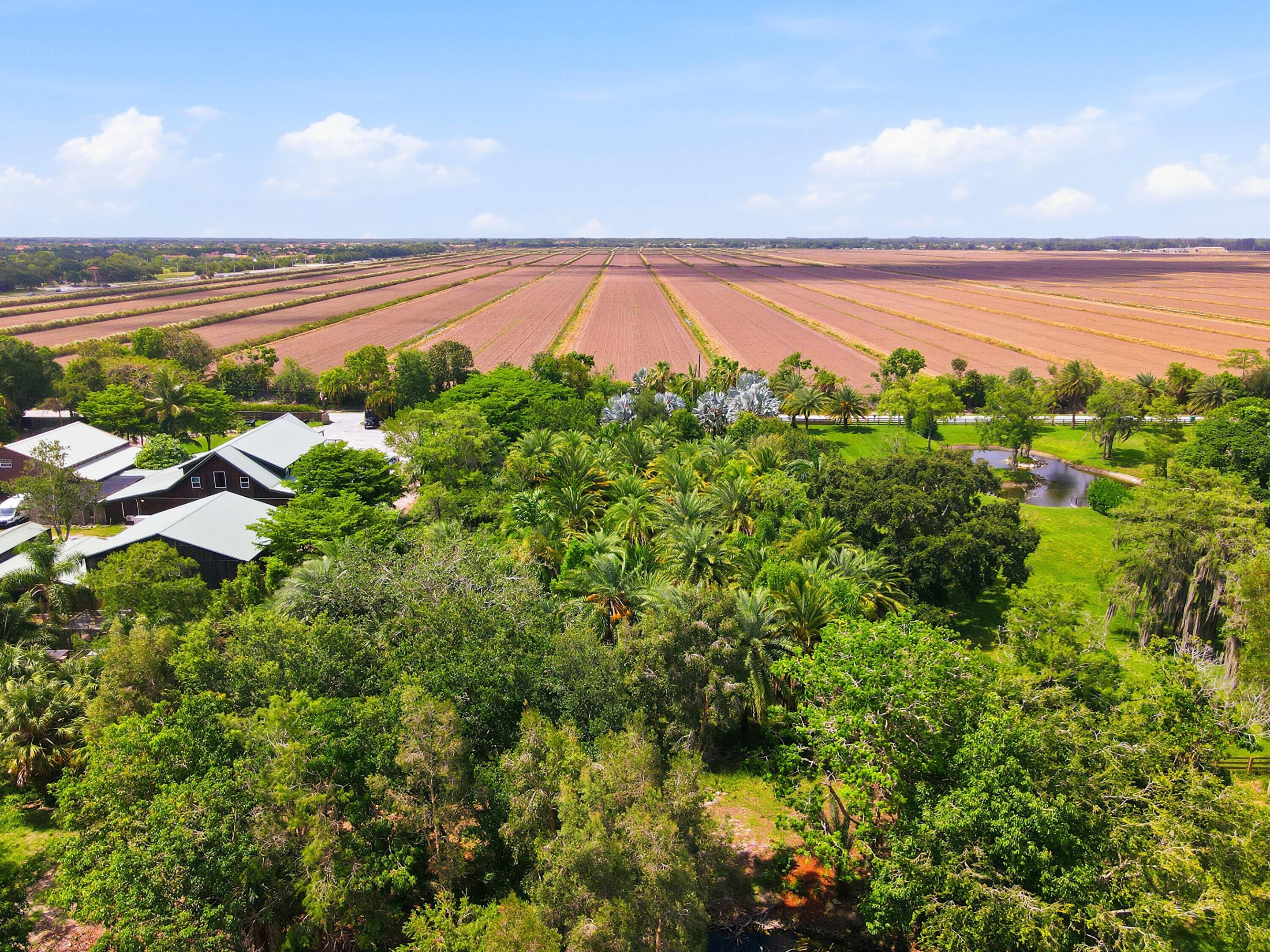 ESTATES OF TROTTERS EAST - Land