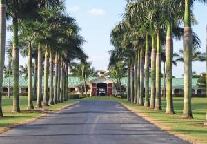 Exceptionally rare opportunity to own property adjacent to International Polo Club and DeerRidge Farms.  Property has been fully upgraded and renovated with top quality finishes throughout. 40 acres professionally landscaped. Sand ring with excellent footings. Private entry gate shared with DeerRidge Farms. 3,200 sq.ft. garage/warehouse includes upstairs 3 bdrm. apt with vaulted ceiling. Owner/Manager apt. contains 2/2 with fireplace, crown molding and custom kitchen. There are also 2 studio apts and a 2/1 apt. Custom trophy room, tack room and locker room. Also features 11 Paddocks, lake and gazebo.