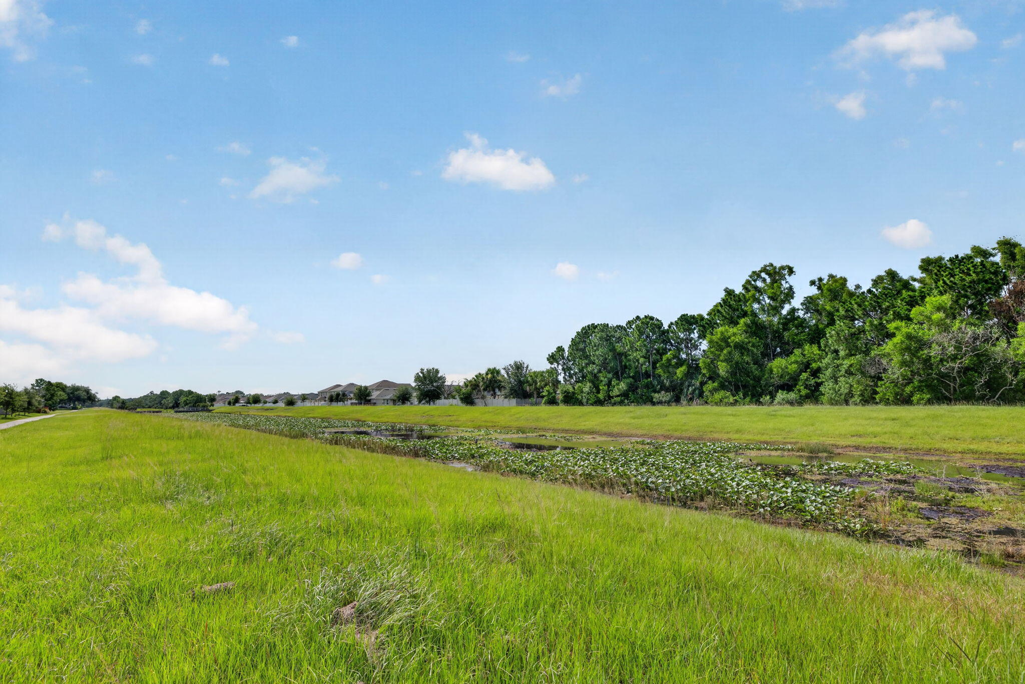 THE PRESERVE AT ST. ANDREWS PHASE 2 - Residential