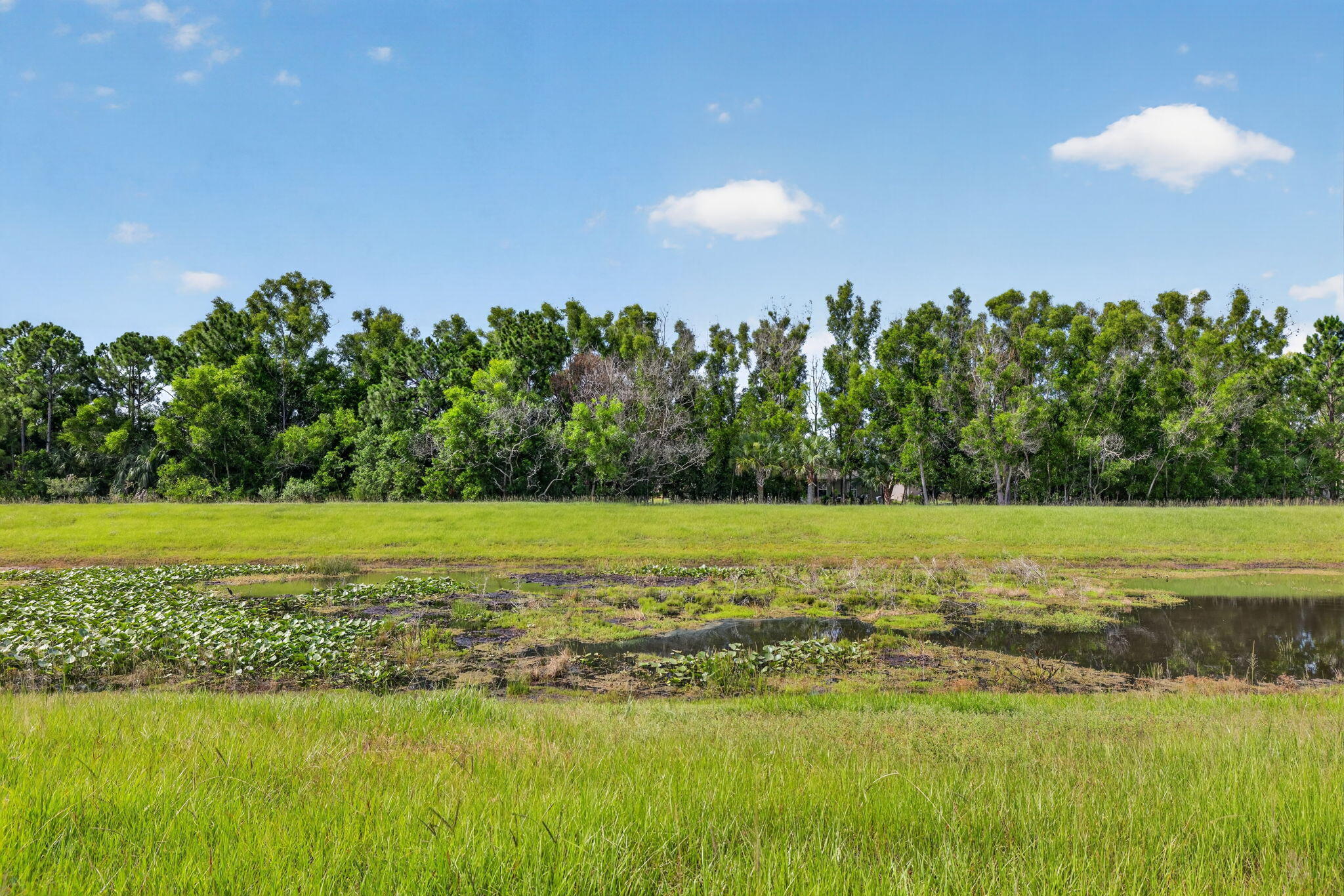 THE PRESERVE AT ST. ANDREWS PHASE 2 - Residential