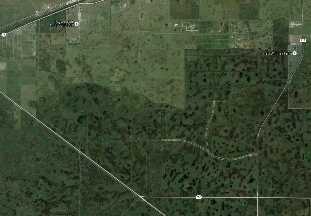 Multiple lots sold as a package ranging from 0.25 acres to 10 acres each in Palm Beach Heights subdivision.  Plans for ATV, UTV, OHV private recreation area and camp sites names Native Trails & Camps.  Sales potential over $35MM.  OWNER FINANCING and/or partners considered.