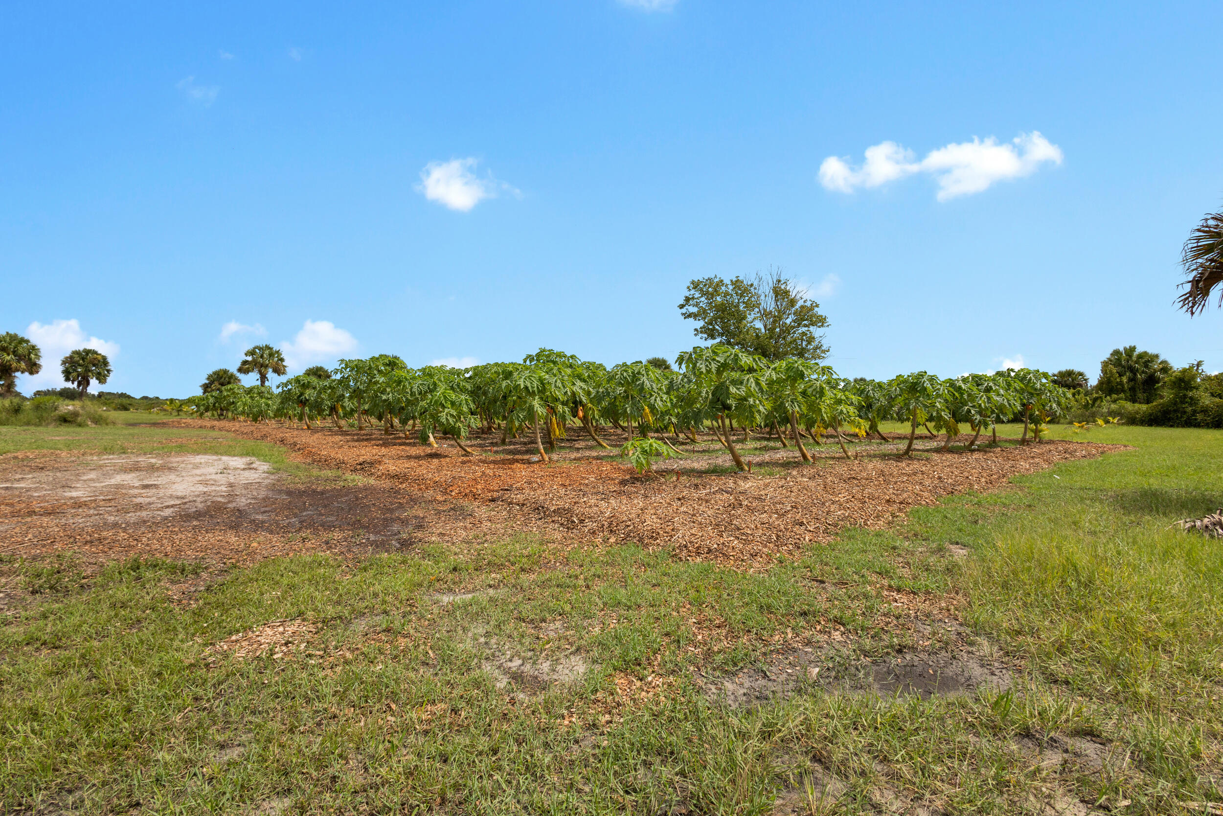 OKEECHOBEE COUNTY - Land