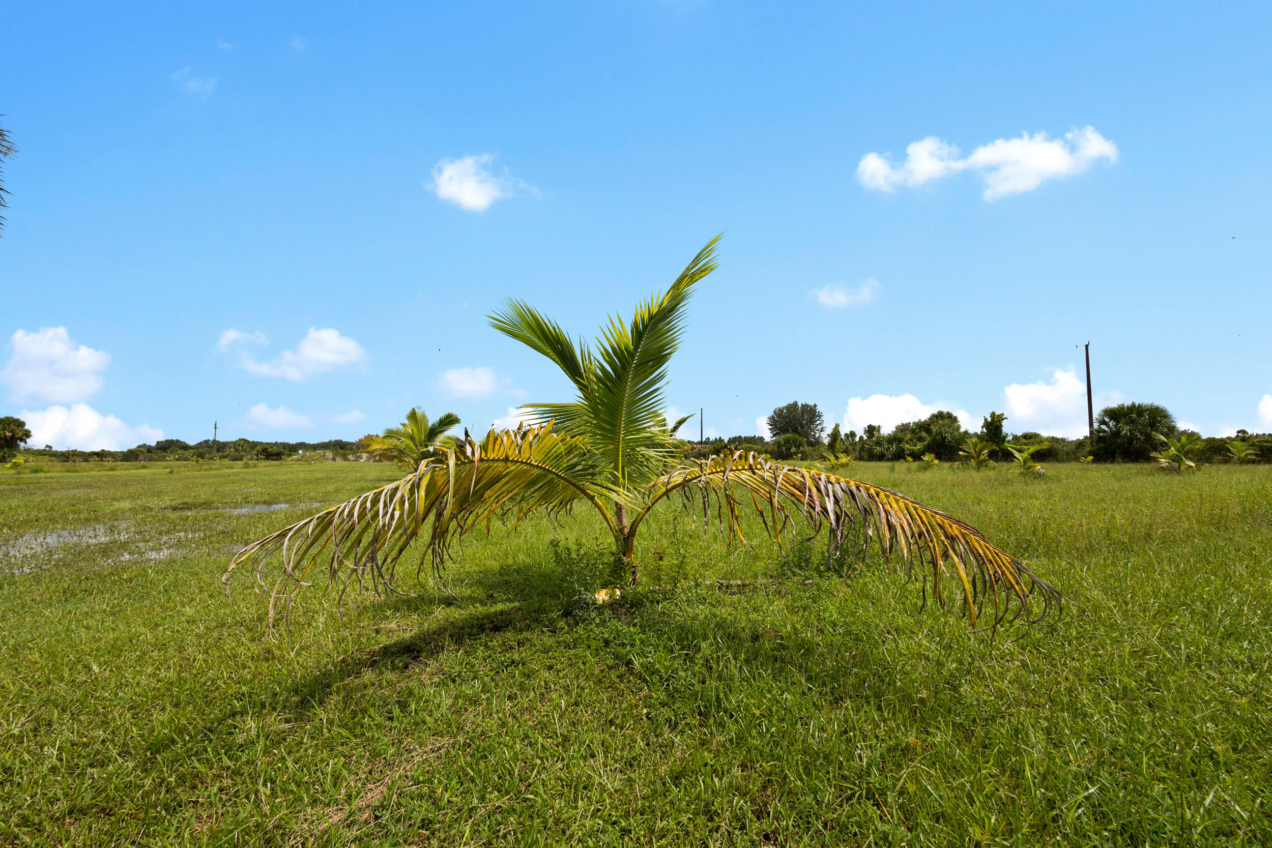 OKEECHOBEE COUNTY - Land
