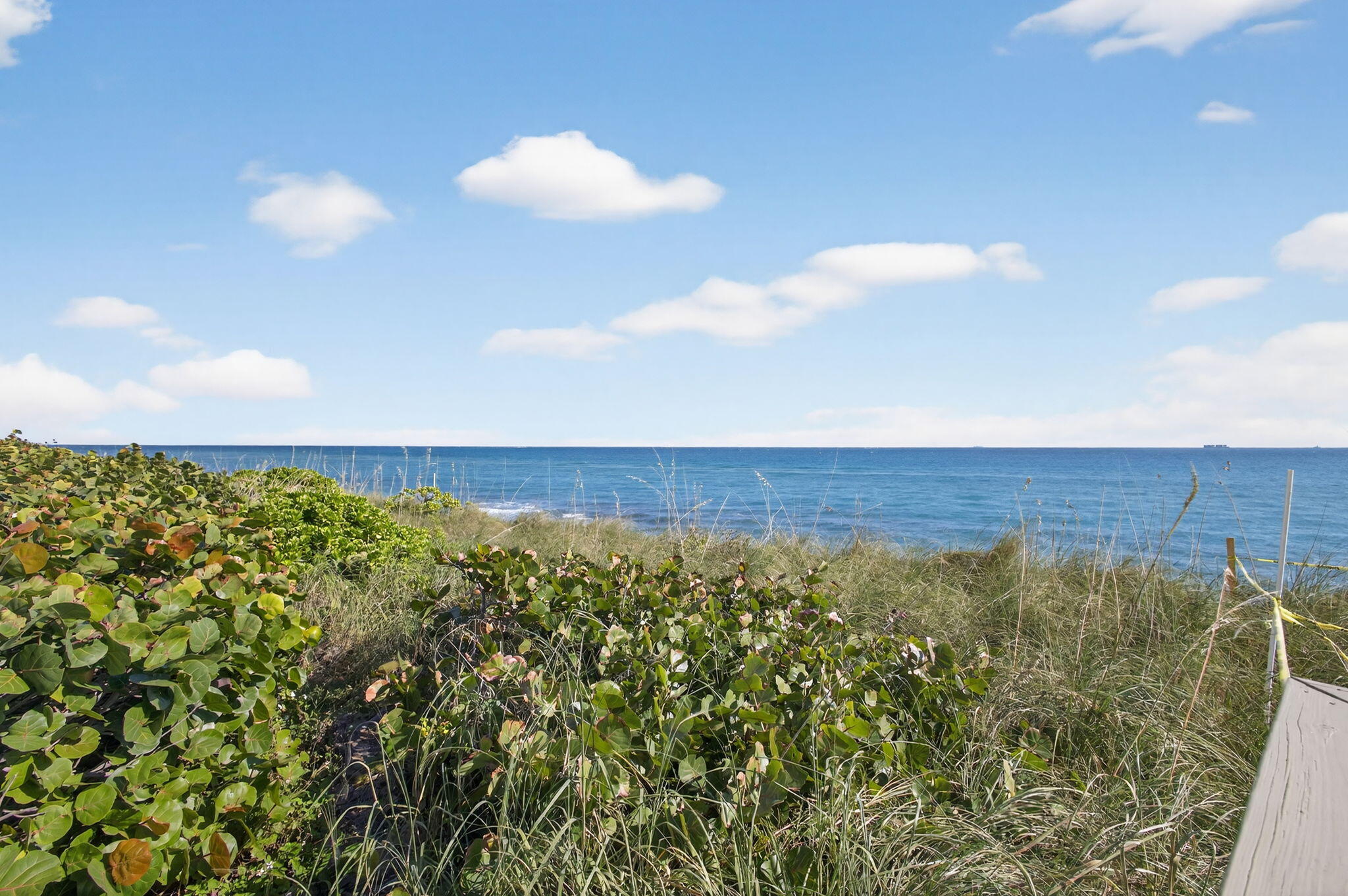 REACHES CONDO - Residential Lease