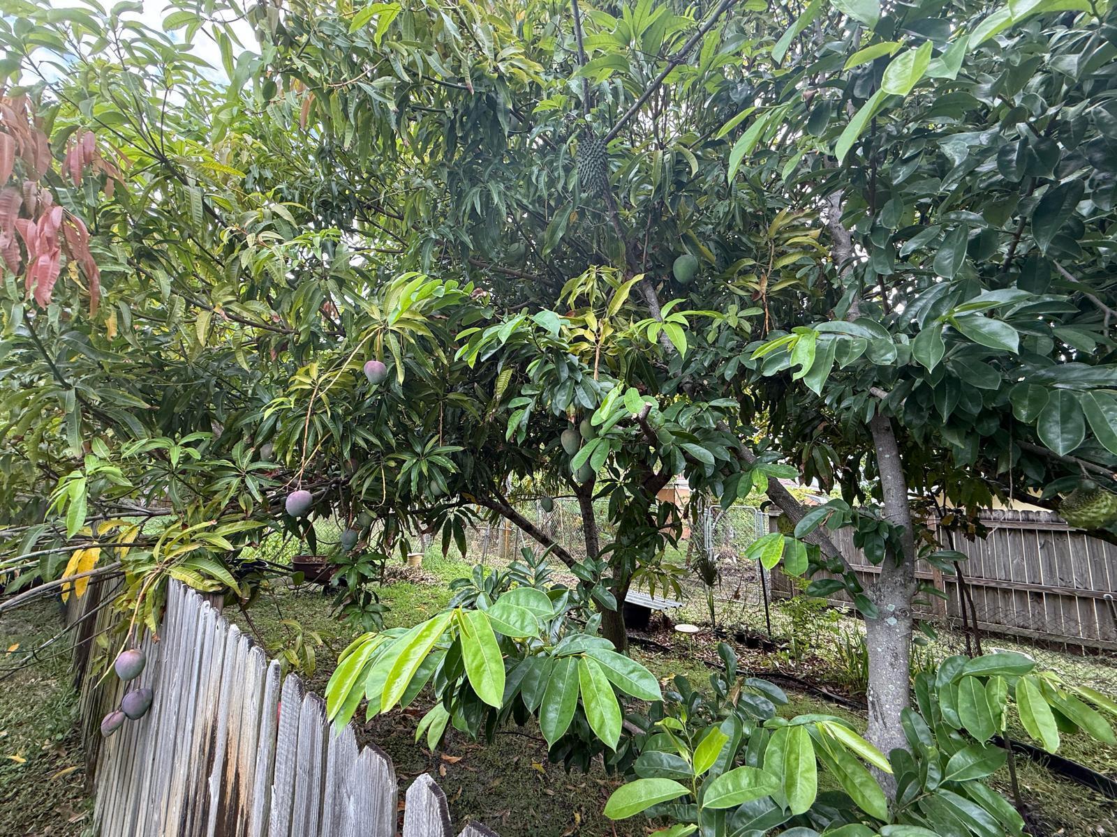 BLUE HERON PARK 5 - Residential