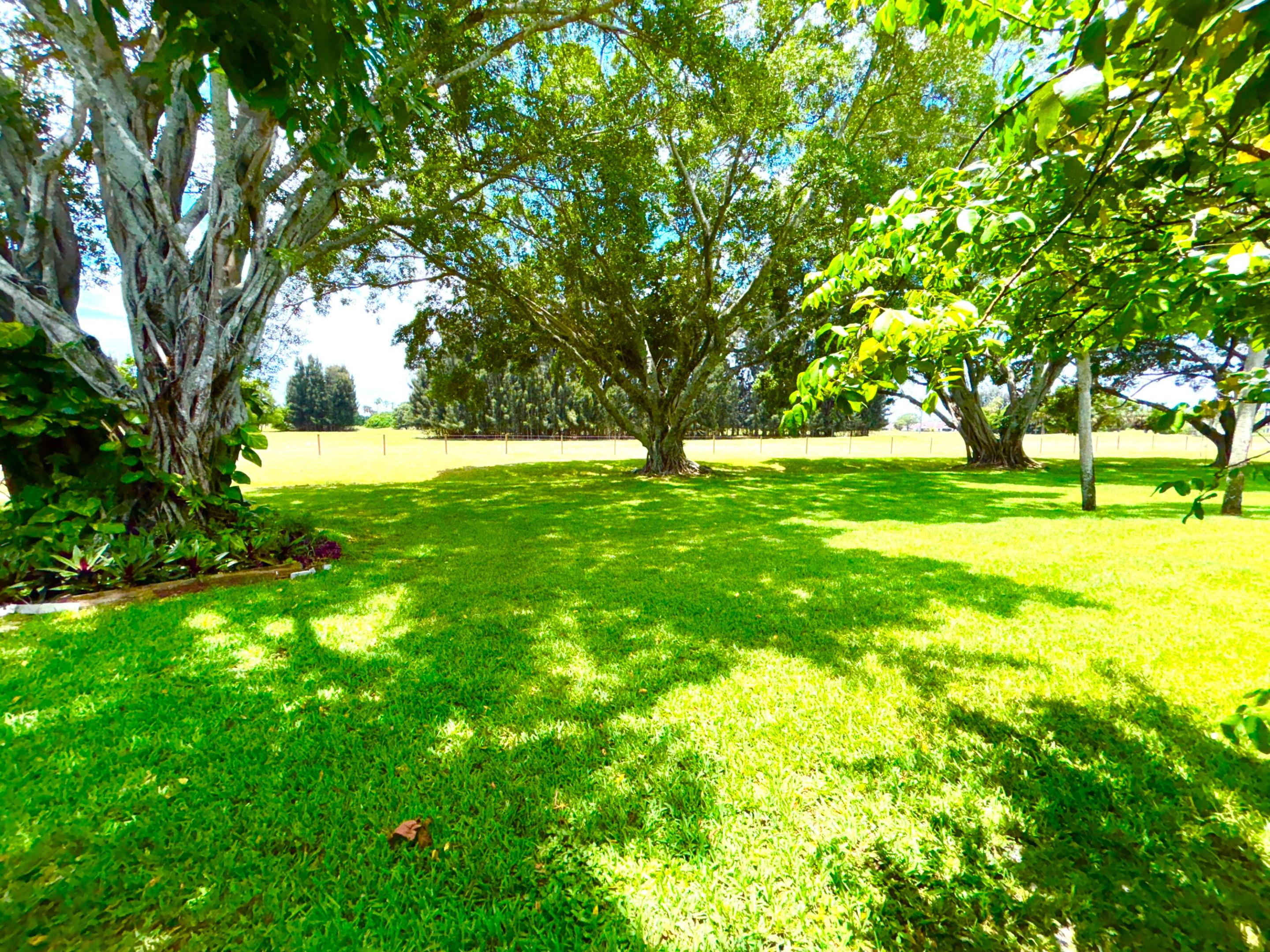 FOUNTAINS OF PALM BEACH CONDO 4 - Residential