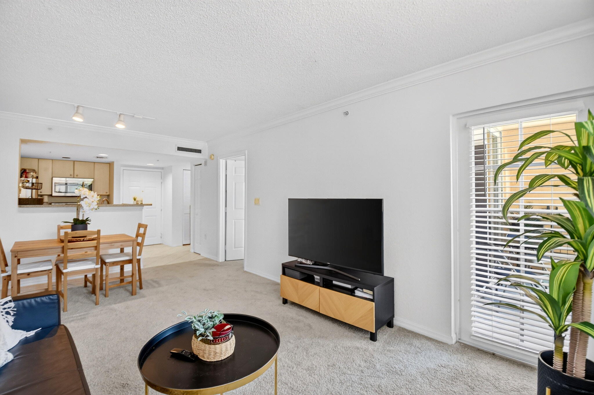 FLAGLER POINTE CONDO - Residential