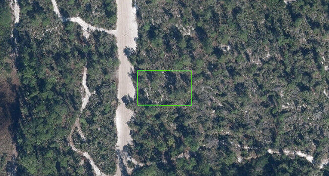5906 QUINCE RD SEBRING, FL 33875 VACANT LAND IN SEBRING, FL. JUST 45 MINUTES SOUTH OF ORLANDO. GREAT CITY WITH ALL YOU NEED CLOSE BY. THIS LAND IS 3 MILES TO HIGHWAY 27...TOTALLY DEVELOPED AROUND WITH MANY HOMES ALREADY BUILT. GREAT SCHOOL DISTRICT. SEBRING IS IN CENTRAL FLORIDA. GREAT PLACE TO LIVE, INVEST OR RETIRE. ITS A MUST SEE. VERY FLEXIBLE OWNER WILL NEGOTIATE. COME LIVE IN THIS MOST BEAUTIFUL CITY IN CENTRAL FLORIDA, HIGHLANDS HAS SO MANY GREAT LAKES...A FRIENDLY CITY. GROWING VERY FAST. INVEST HERE. GREAT SCHOOLS...ALL YOU NEED IS HERE. ENGLISH, ESPANOL, PORTUGUES, ITALIANO, KREYOLE  5915 QUINCE RD SEBRING, FL 33875 VACANT LAND IN SEBRING, FL. JUST 45 MINUTES SOUTH OF ORLANDO. GREAT CITY WITH ALL YOU NEED CLOSE BY. THIS LAND IS 3 MILES TO HIGHWAY 27...TOTALLY DEVELOPED AROUND WITH MANY HOMES ALREADY BUILT. GREAT SCHOOL DISTRICT. SEBRING IS IN CENTRAL FLORIDA. GREAT PLACE TO LIVE, INVEST OR RETIRE. ITS A MUST SEE. VERY FLEXIBLE OWNER WILL NEGOTIATE. COME LIVE IN THIS MOST BEAUTIFUL CITY IN CENTRAL FLORIDA, HIGHLANDS HAS SO MANY GREAT LAKES...A FRIENDLY CITY. GROWING VERY FAST. INVEST HERE. GREAT SCHOOLS...ALL YOU NEED IS HERE. ENGLISH, ESPANOL, PORTUGUES, ITALIANO, KREYOLE VACANT LAND IN SEBRING, FL. JUST 45 MINUTES SOUTH OF ORLANDO. GREAT CITY WITH ALL YOU NEED CLOSE BY. THIS LAND IS 3 MILES TO HIGHWAY 27...TOTALLY DEVELOPED AROUND WITH MANY HOMES ALREADY BUILT. GREAT SCHOOL DISTRICT. SEBRING IS IN CENTRAL FLORIDA. GREAT PLACE TO LIVE, INVEST OR RETIRE. ITS A MUST SEE. VERY FLEXIBLE OWNER WILL NEGOTIATE. COME LIVE IN THIS MOST BEAUTIFUL CITY IN CENTRAL FLORIDA, HIGHLANDS HAS SO MANY GREAT LAKES...A FRIENDLY CITY. GROWING VERY FAST. INVEST HERE. GREAT SCHOOLS...ALL YOU NEED IS HERE. ENGLISH, ESPANOL, PORTUGUES, ITALIANO, KREYOLE   Driving Directions:  5915 QUINCE RD SEBRING, FL 33875 COME SEE IT ANYTIME JUST GO STRAIGHT TO THE LAND NO SIGN.   Broker Confidential:  5915 QUINCE RD SEBRING, FL 33875 COME SEE IT ANYTIME JUST GO STRAIGHT TO THE LAND NO SIGN.