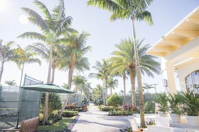 Ballenisles - Residential Lease