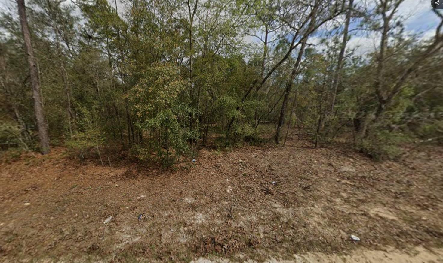 INTERLACHEN LAKES ESTATES - Land