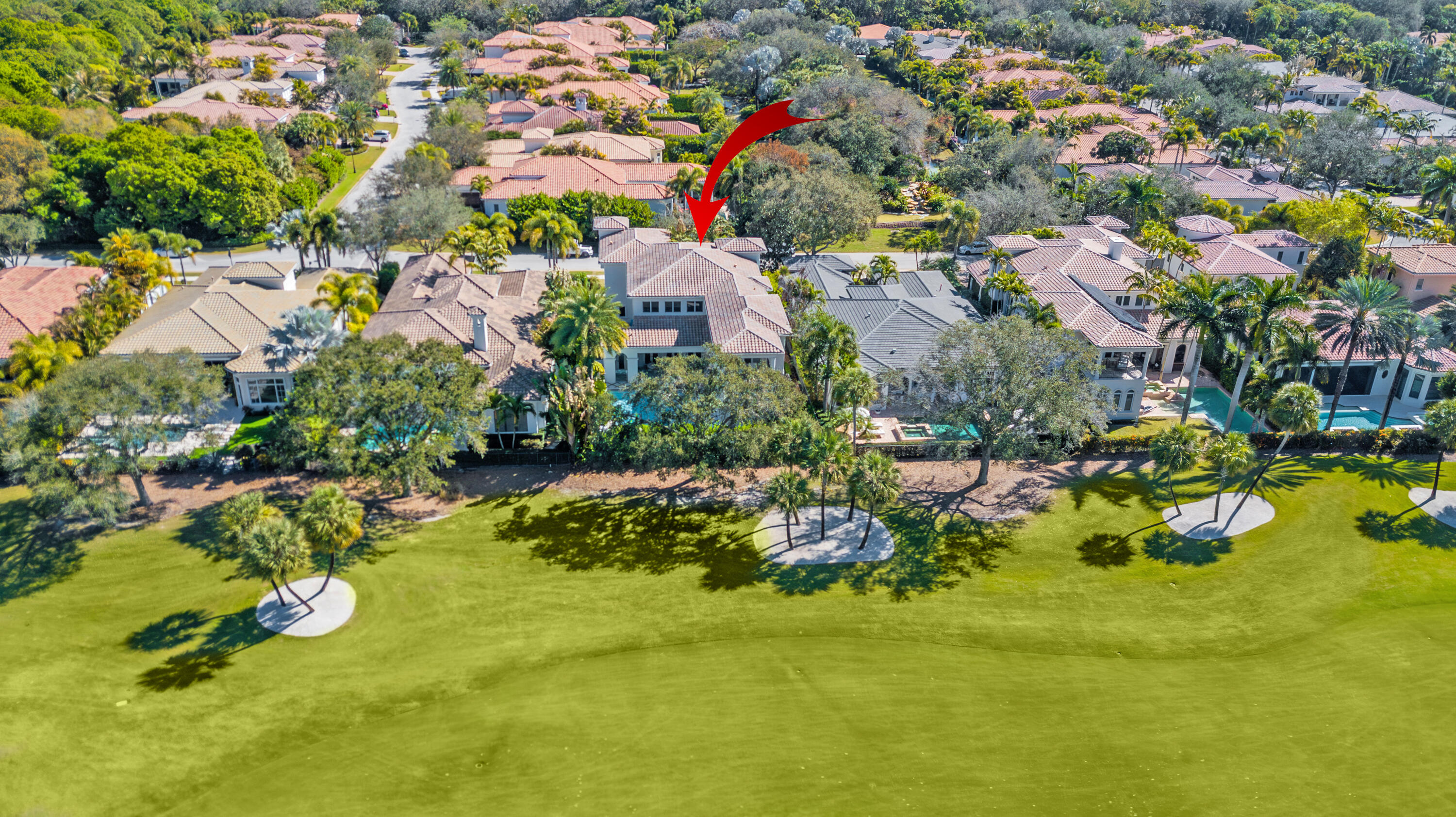 OLD PALM - Residential