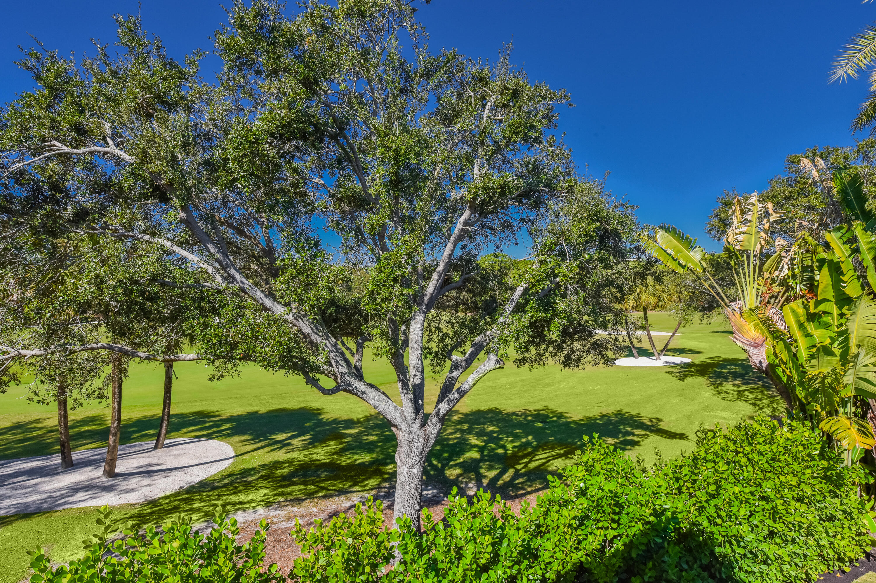 OLD PALM - Residential