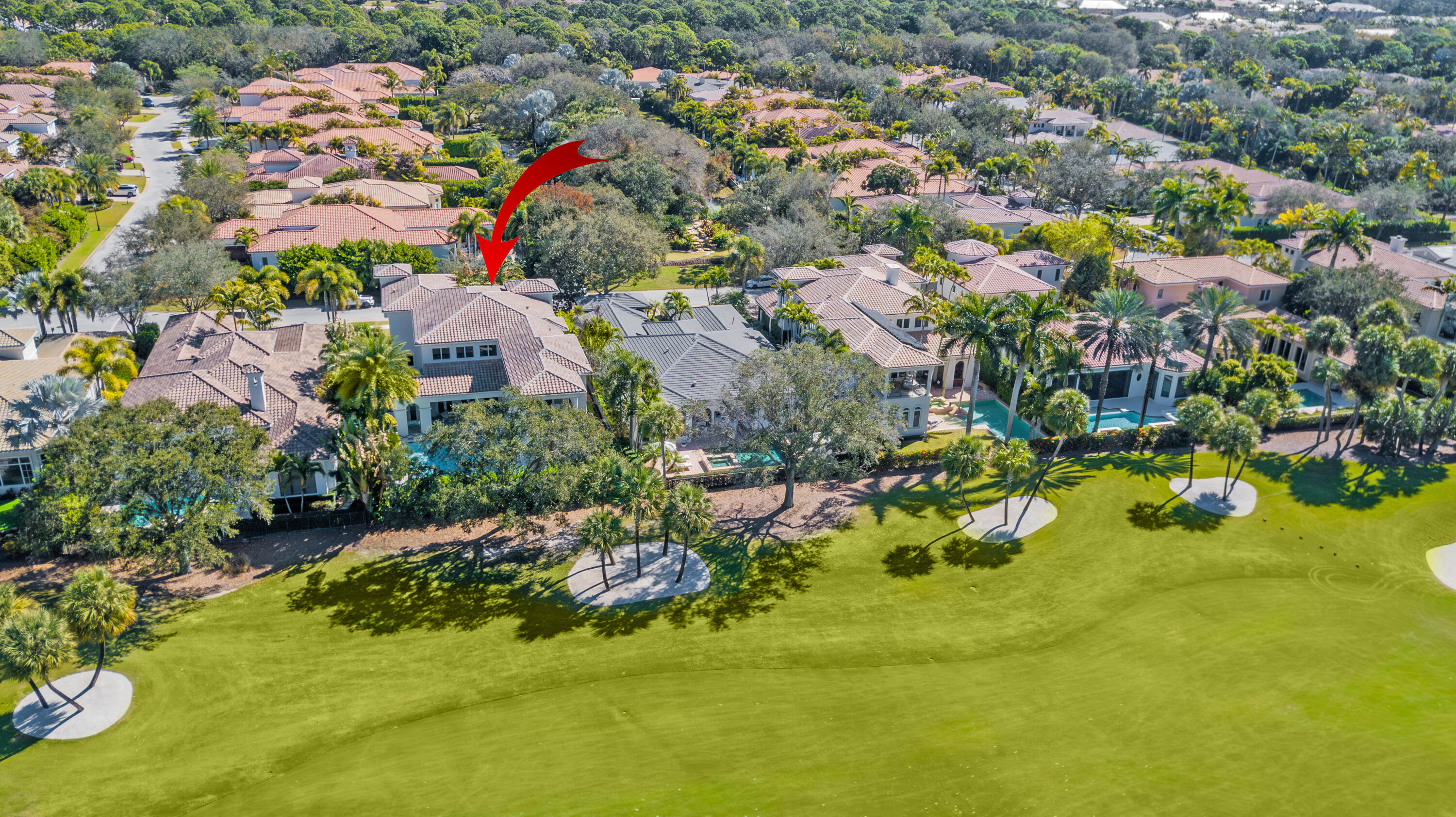 OLD PALM - Residential