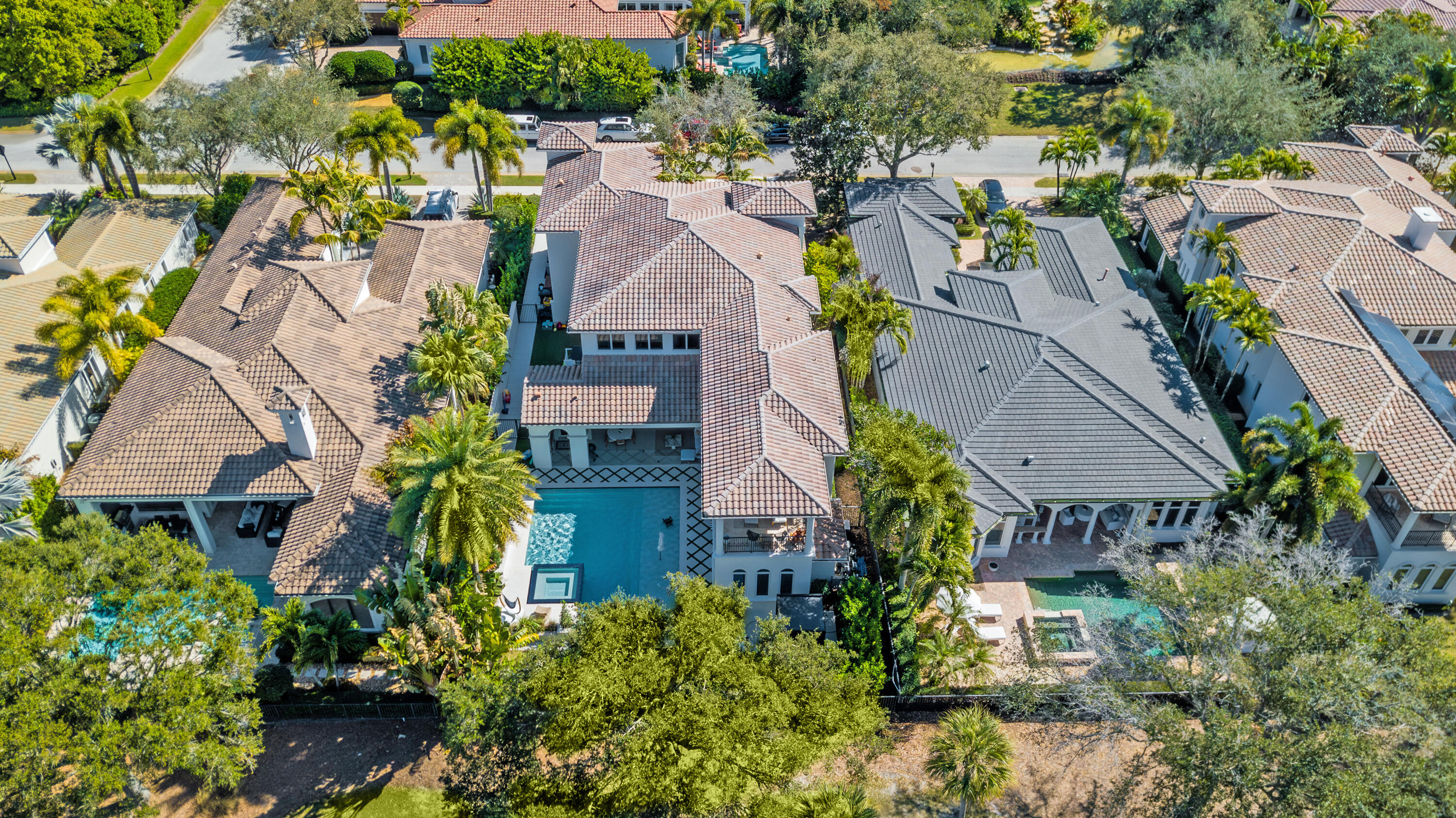 OLD PALM - Residential