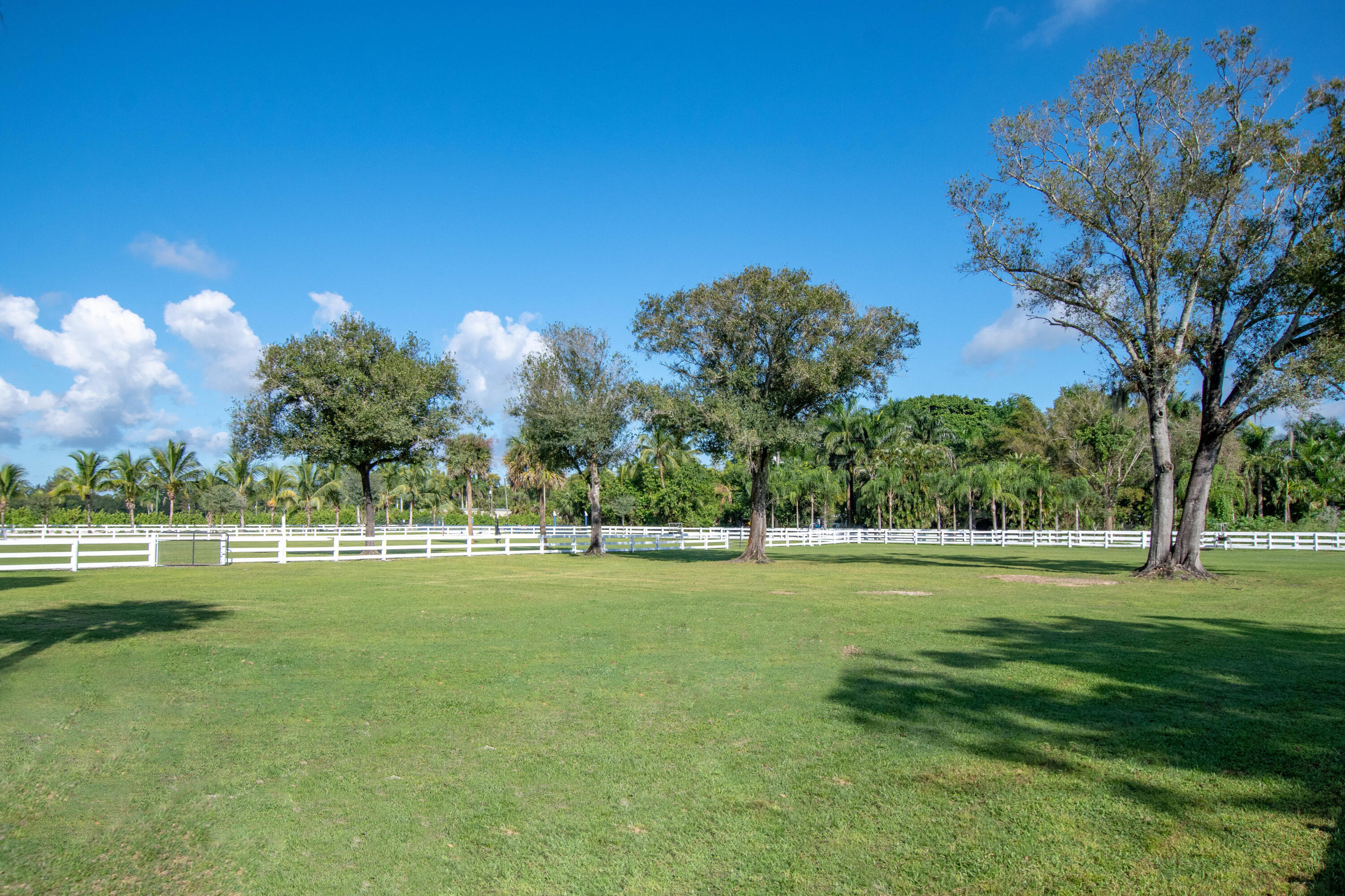LOXAHATCHEE GROVES - Land