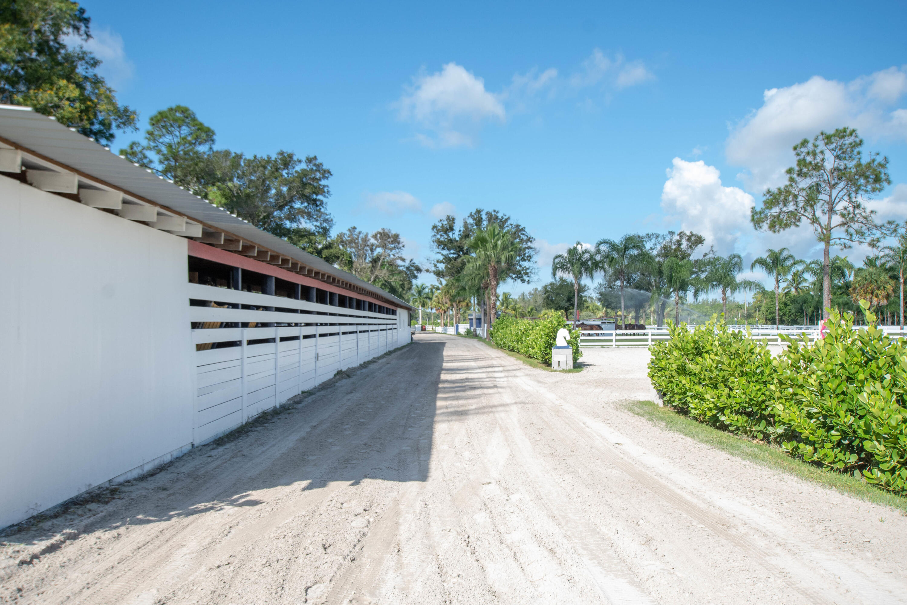 LOXAHATCHEE GROVES - Land