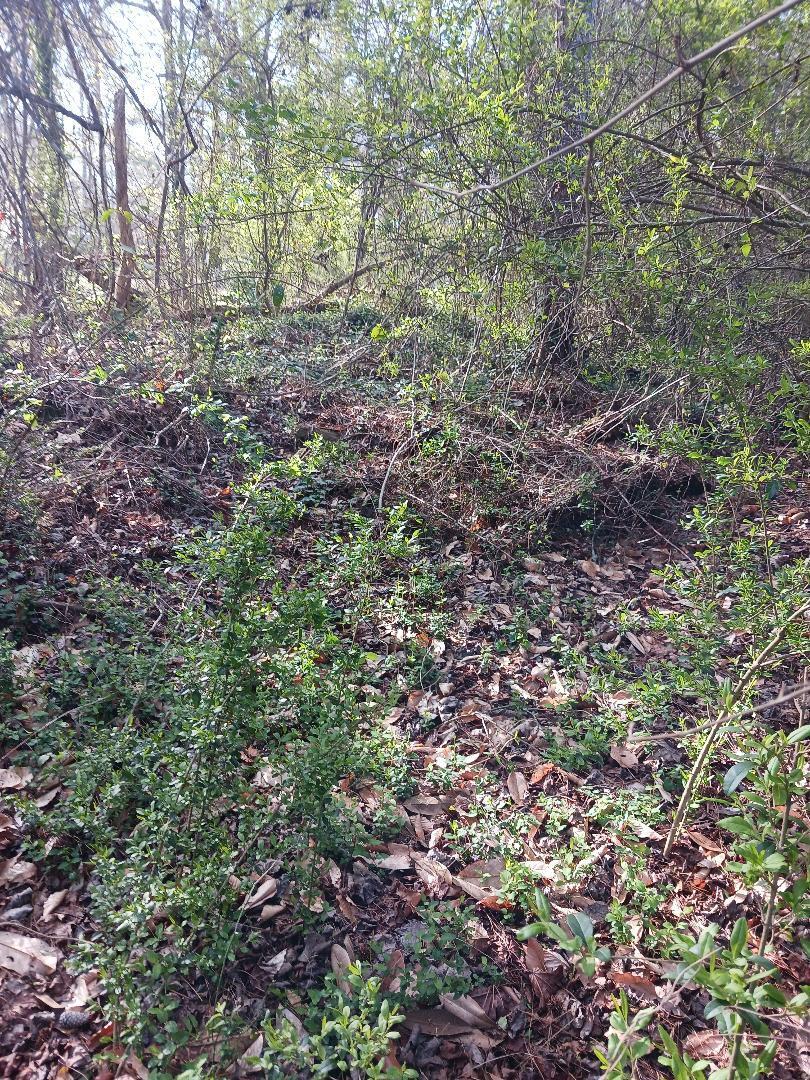 This 1.25 acre property is ready for your private estate. We have other lots available including 4089-419-000 among others
