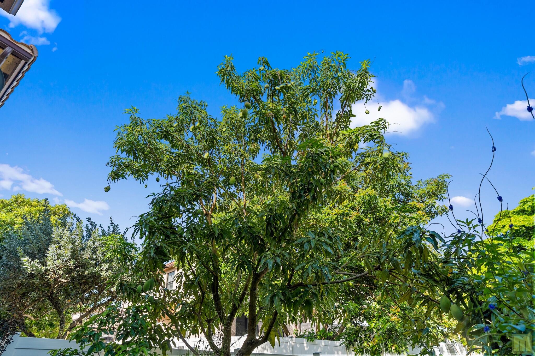 SABAL PALM BY PRESTIGE - Residential