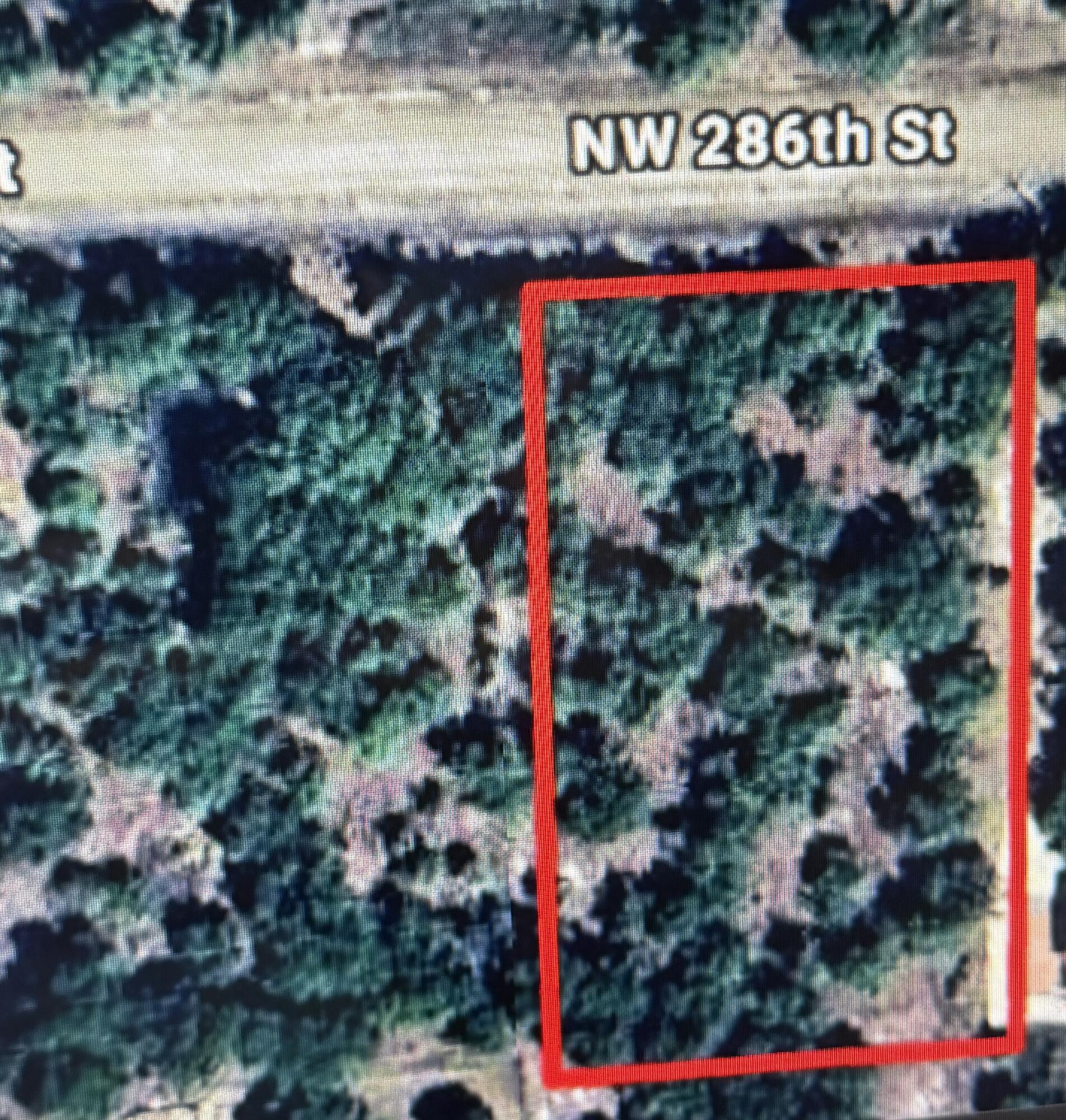 Check out this pristine, untouched land, high & dry, loaded with beautiful oaks, small pond, quiet dead end street, lot next door (17496) also included in the price, 3 acres total.