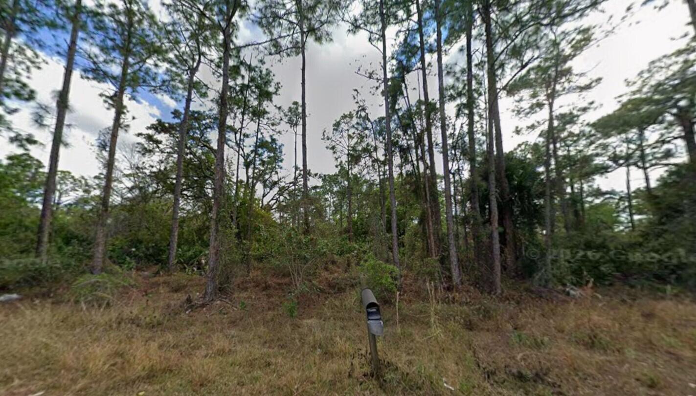 Build your dream home on this spacious residential lot located at 1210 Raphia St E in the growing community of Lehigh Acres! This property offers a peaceful setting with plenty of room for a custom home, outdoor living, and more. Surrounded by new construction and well-maintained homes, this lot provides the perfect opportunity for homeowners or investors alike. Enjoy the convenience of nearby shopping, dining, schools, and easy access to major roadways while still experiencing the privacy and tranquility Lehigh Acres is known for. Whether you're looking to build now or hold for future investment, this is a great opportunity in a rapidly developing area. Buyer to perform their own due diligence regarding utilities, zoning, and building requirements.