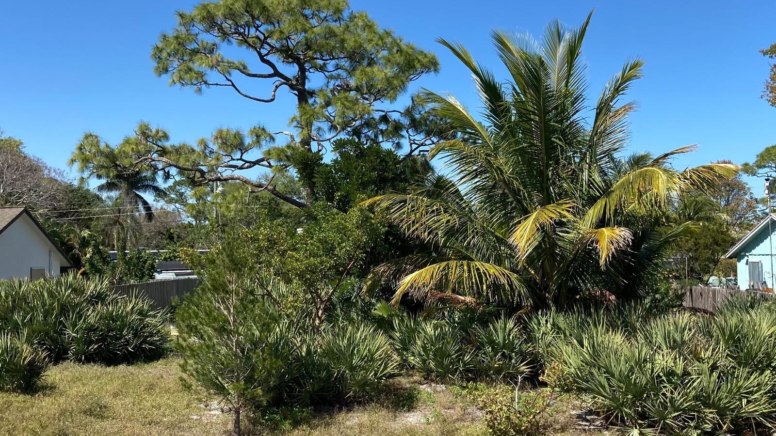POINCIANA GARDENS - Land