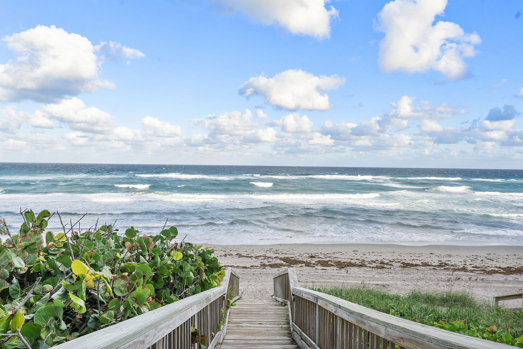 OCEAN GRANDE PLACE - Residential