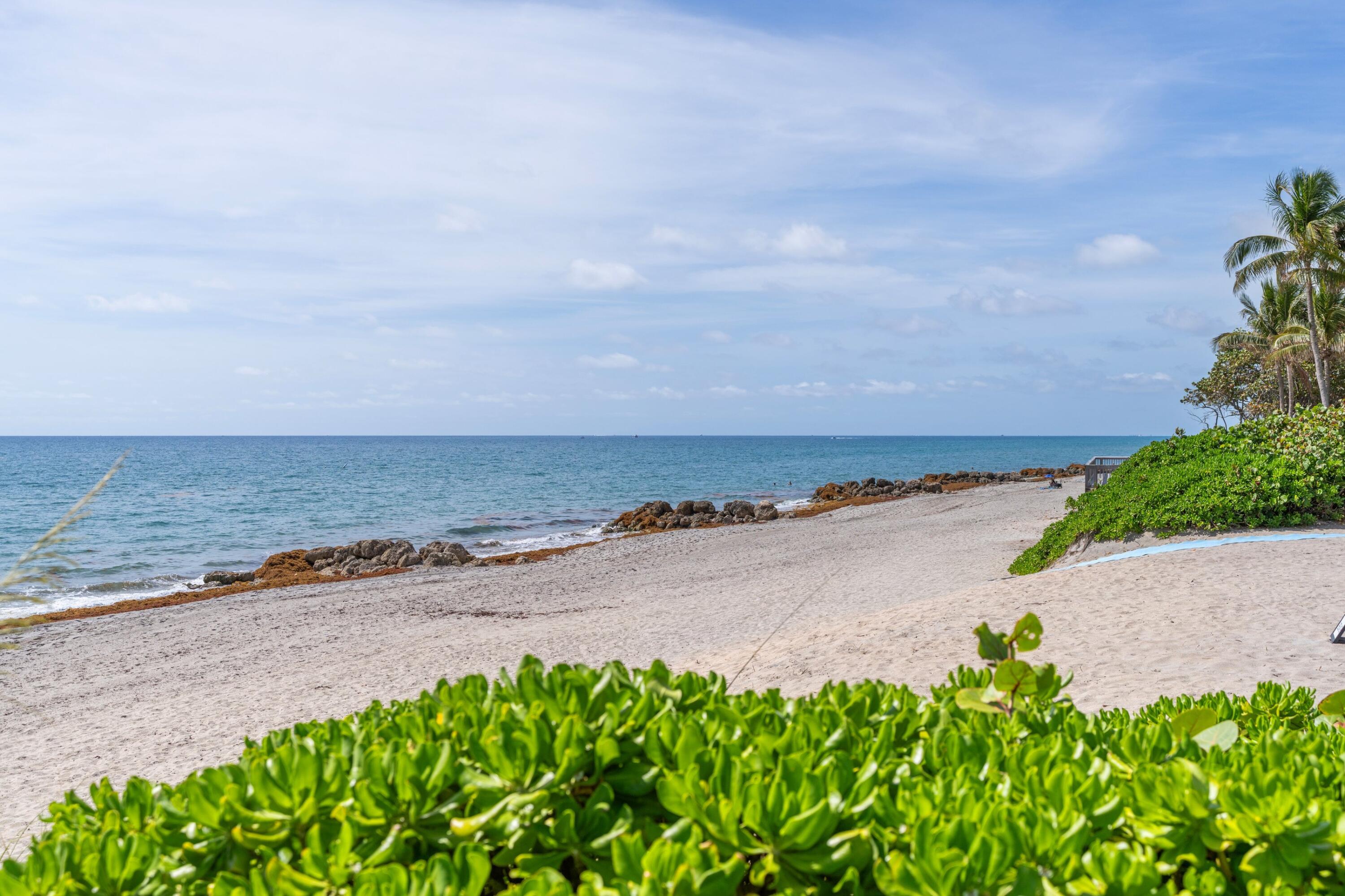 ORCHID BEACH CONDO - Residential