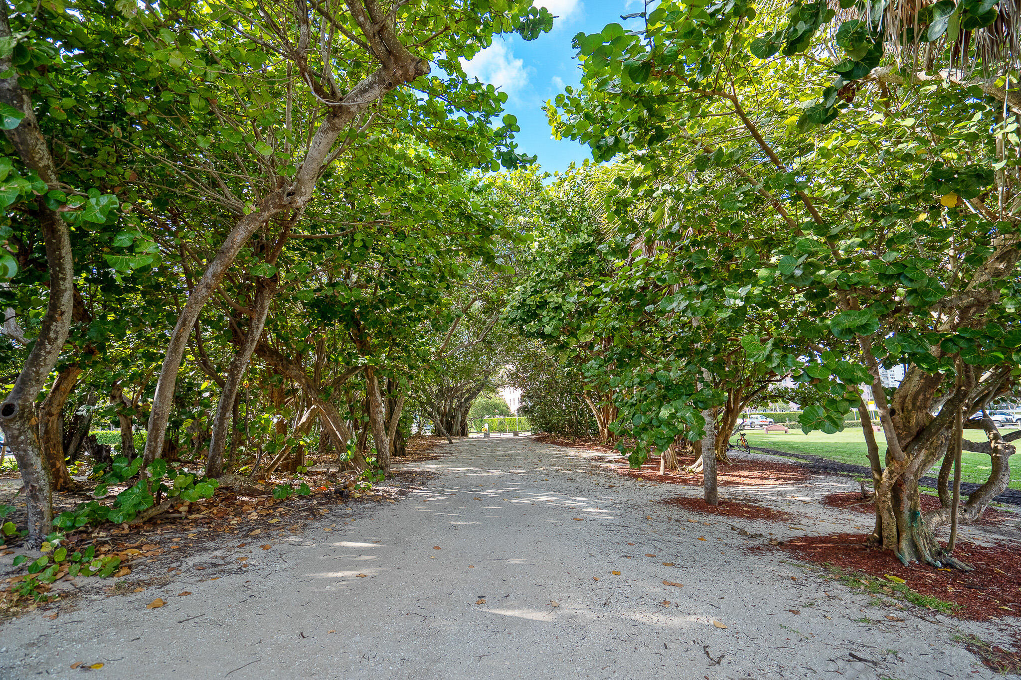 TIERRA DEL MAR CONDO - Residential Lease