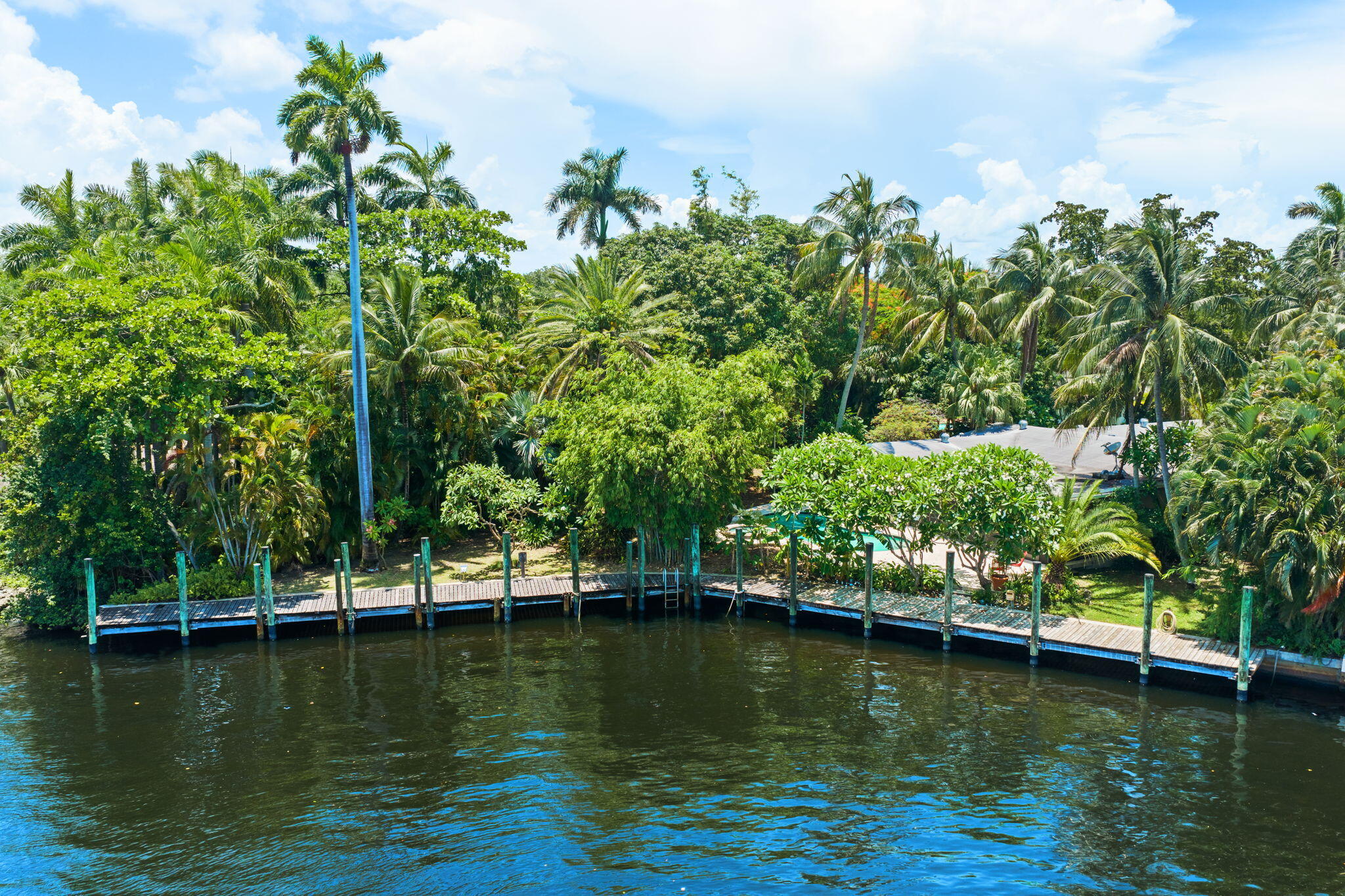 146 FT of DEEP-WATER DOCKAGE on a 16,000+ SQFT LOT at one of the widest points of Fort Lauderdale's New River. NO FIXED BRIDGES — direct ocean access. Concrete seawall and tall pilings in place. 150 AMPS to dock. Berthed multiple large vessels recently, with T-dock potential (subject to permits) to host a 100'+ yacht plus two additional vessels — marina-level capability with natural hurricane protection. 4-bedroom, 2,400 SQFT residence with a beautiful garden walkway entrance and expansive views overlooking the pool, spa and river. RARE BOTANICAL grounds include mature mango, banana, avocado and other tropical trees + a screened courtyard aviary. Located just minutes to Downtown Fort Lauderdale, Las Olas, FLL/FXE, and the beach! FIRST TIME EVER OFFERED — held by one family for decades.