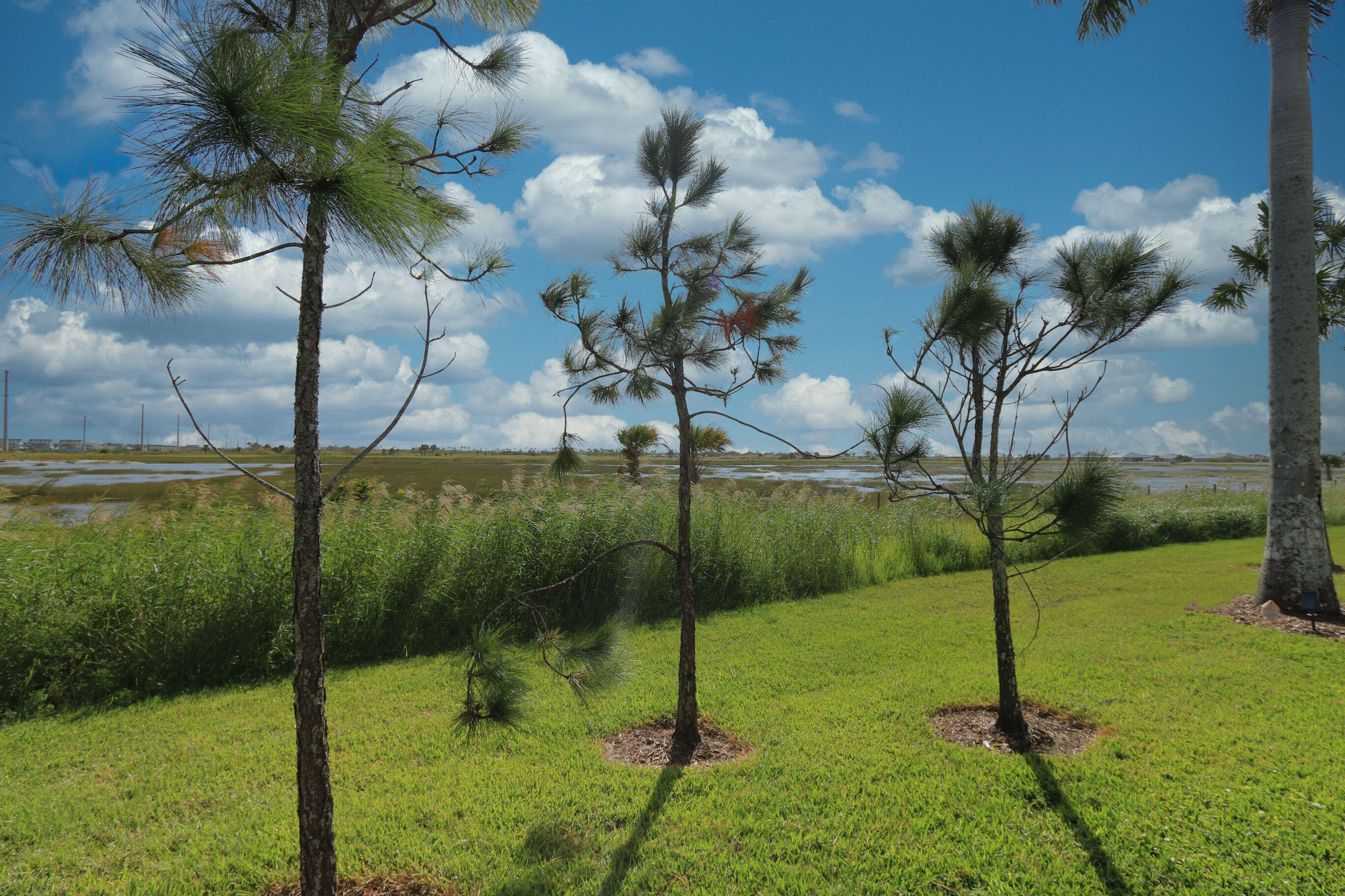 DEL WEBB AT TRADITION - Residential