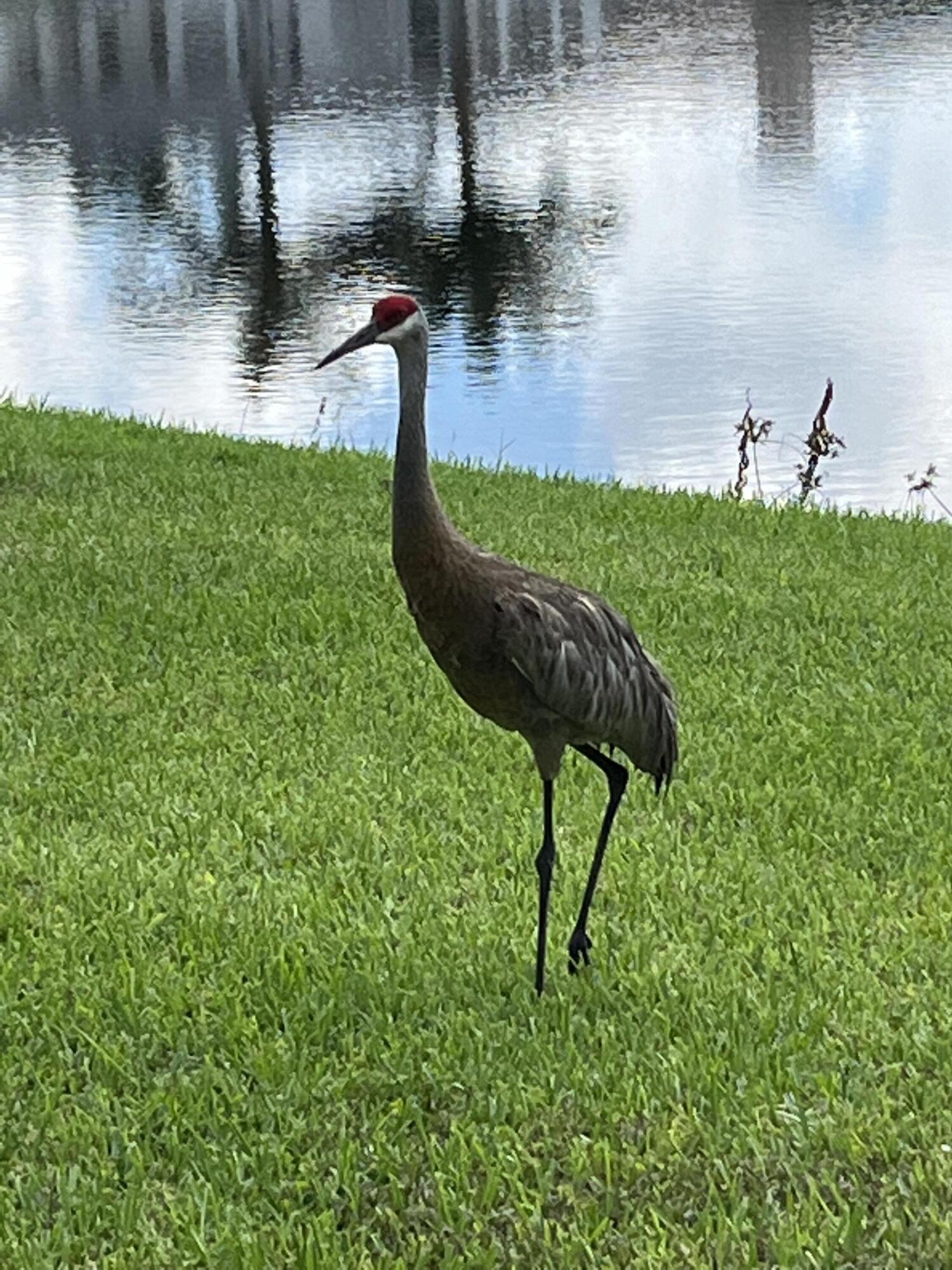OAKS AT BOCA RATON 3 - Residential Lease