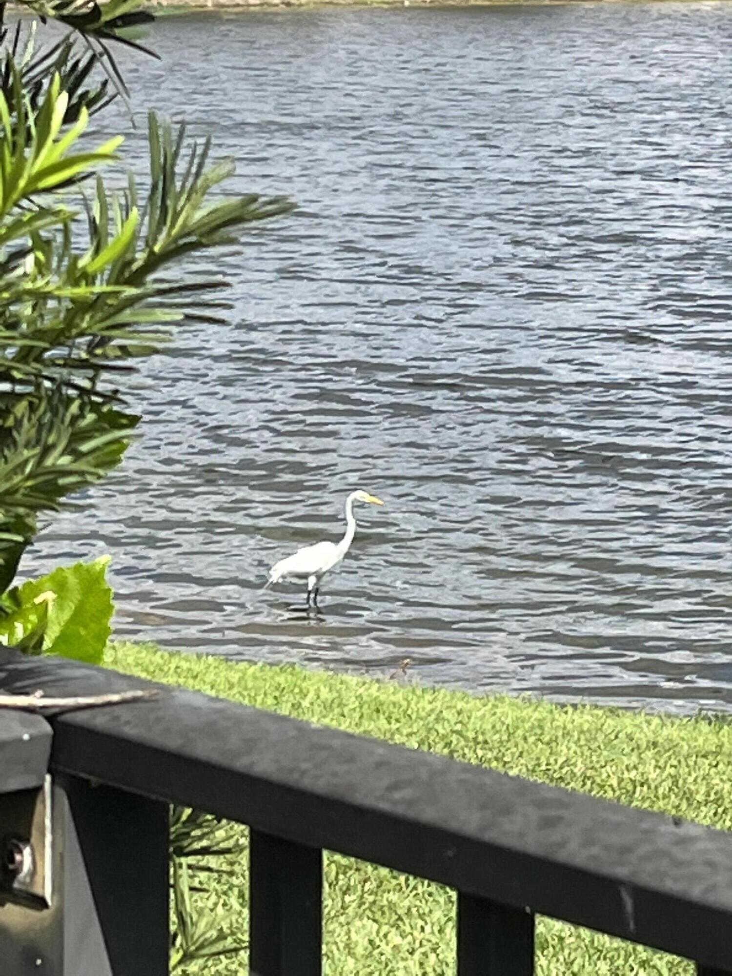 OAKS AT BOCA RATON 3 - Residential Lease