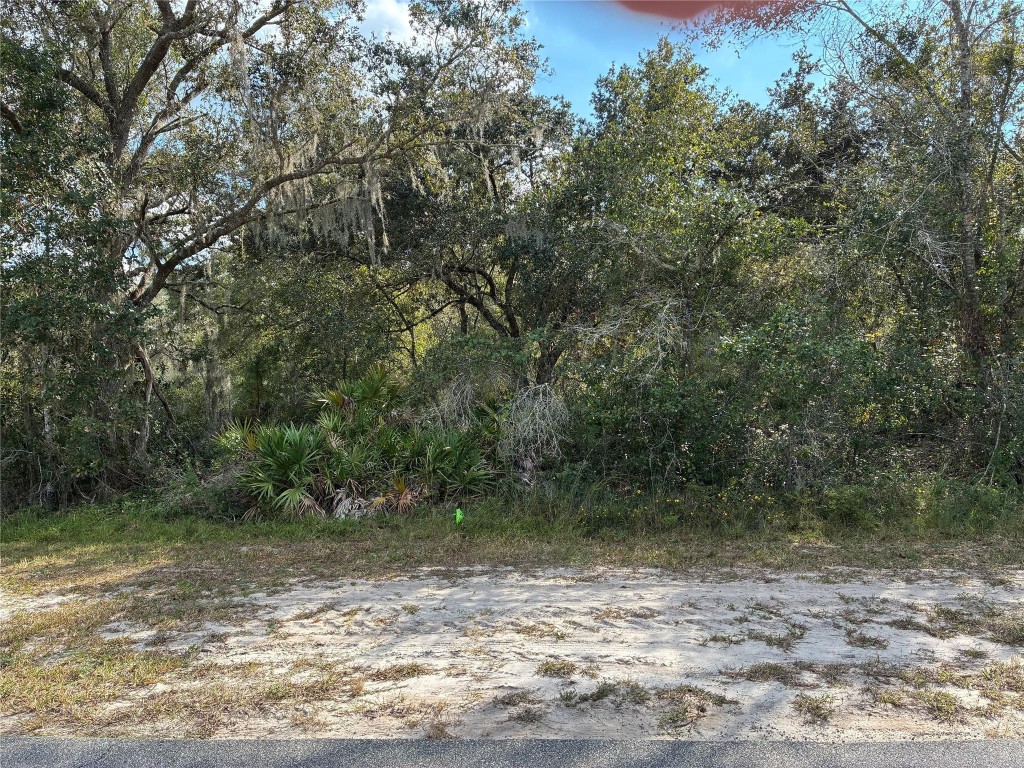 Indian Lake Estates - Land