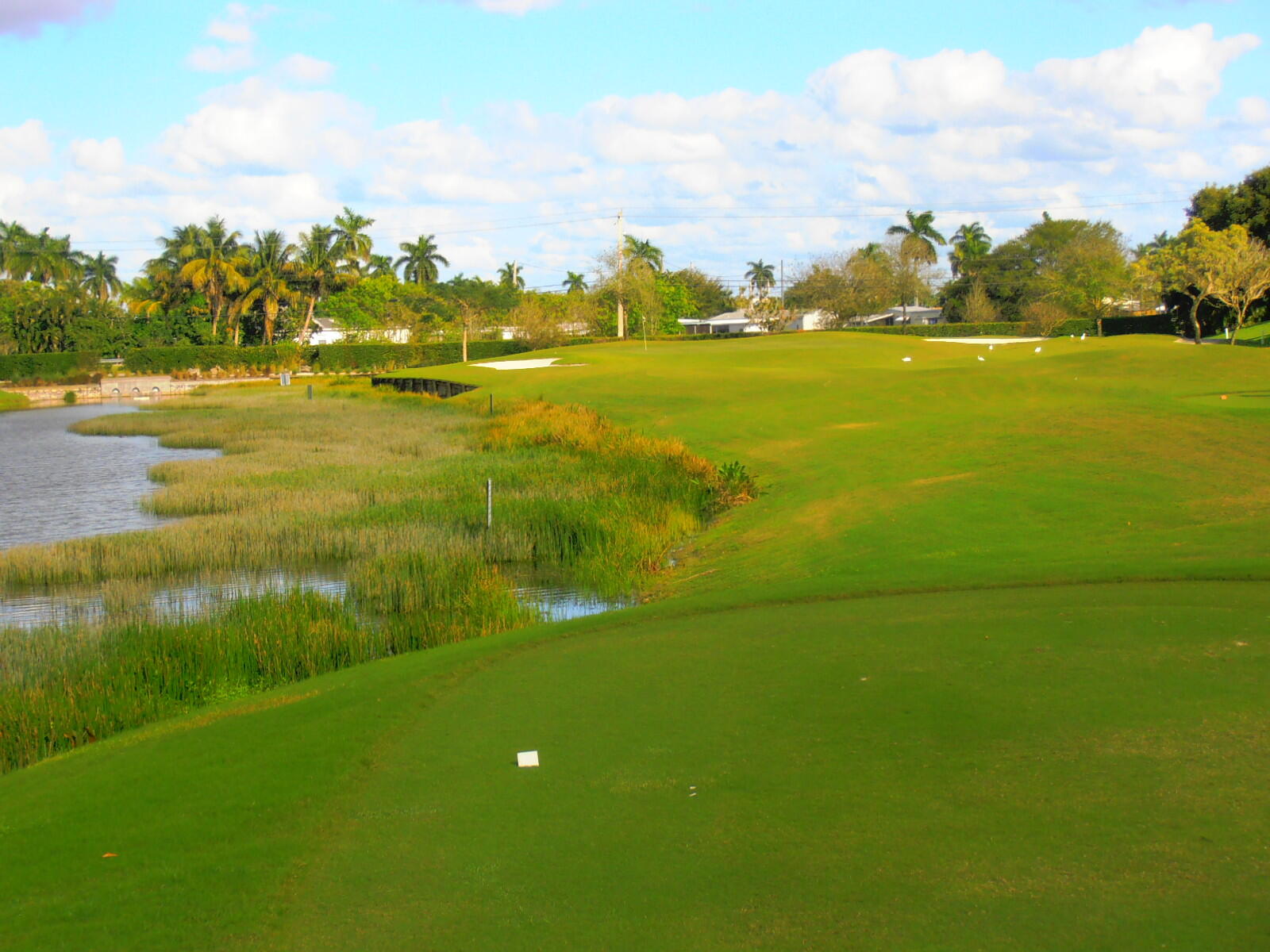 POINCIANA 6 OF PINE ISLAND RIDGE - Residential Lease