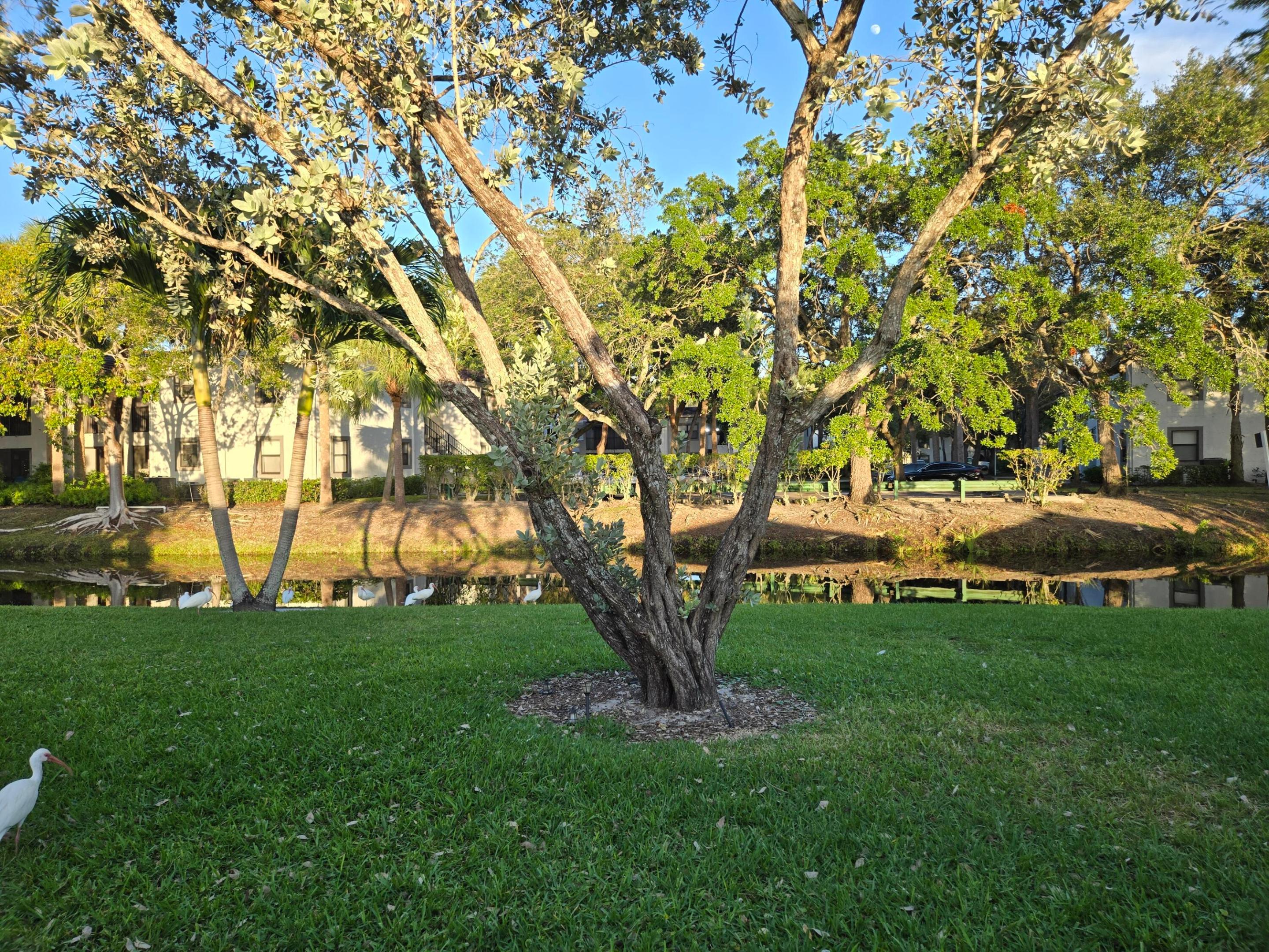 LAUDERDALE WEST - Residential