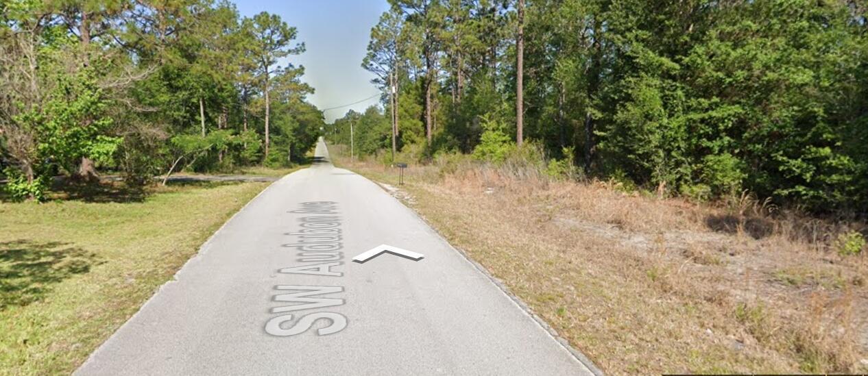 Enjoy peaceful living in the heart of Dunnellon with this beautiful lot on SW Audubon Ave. Located in a quiet, established neighborhood, this property offers the ideal setting to build your dream home or weekend retreat. Surrounded by lush greenery and natural beauty, you'll appreciate the tranquility of country living while still being close to local amenities, shopping, and the scenic Rainbow River. A fantastic opportunity to create your perfect oasis in this charming community