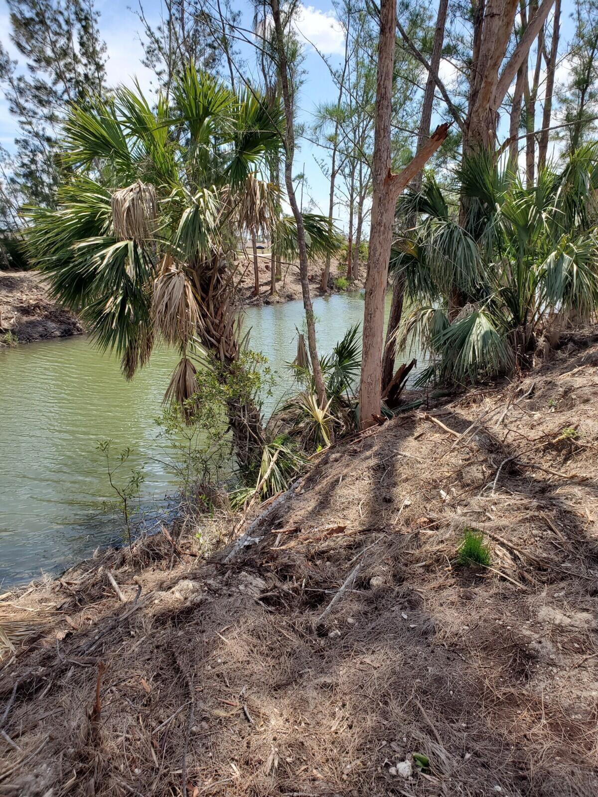 Here is a waterfront lot on a canal that goes for miles, great for fishing and other water sports, located in very popular Gator Circle in up-and-coming Cape Coral, All homes are either newer or New homes, close to beaches, Sanibel Island, Fort Myers and everything else, this lot is approximately 85' X 125' it is mostly clear, high and dry on paved Rd, don't wait to build your future home here.