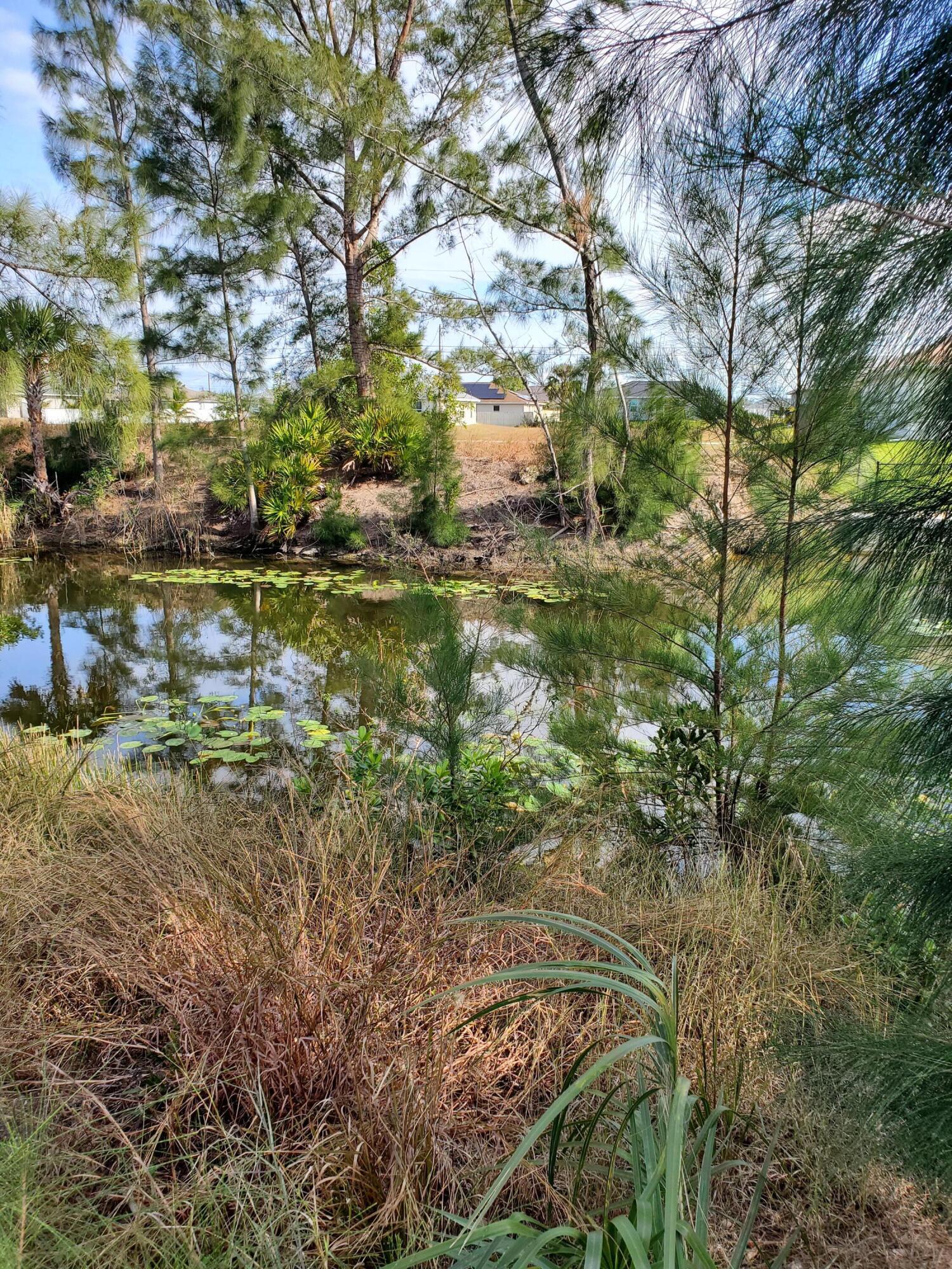 Gator Circle - Land
