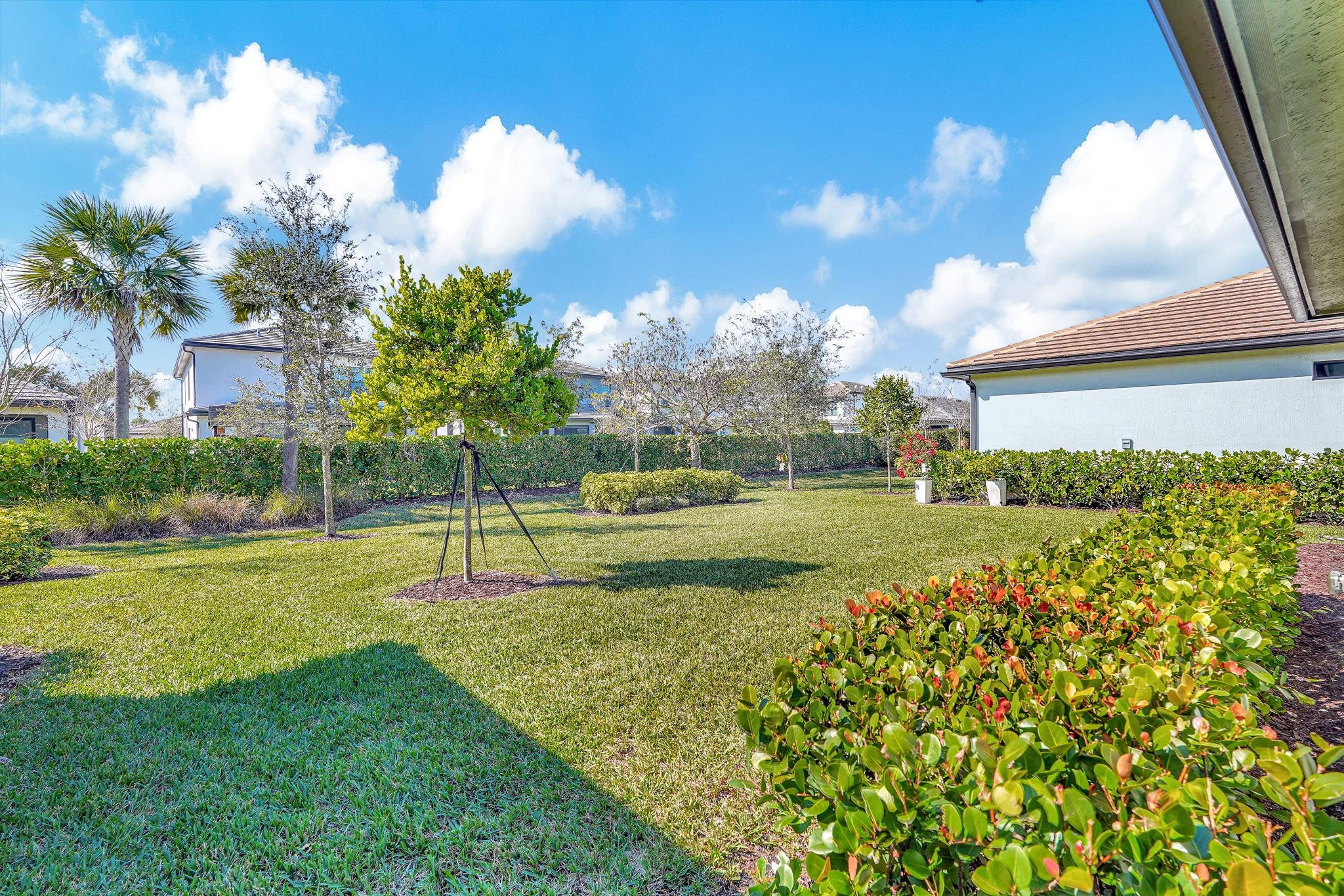 OAK TREE - Residential