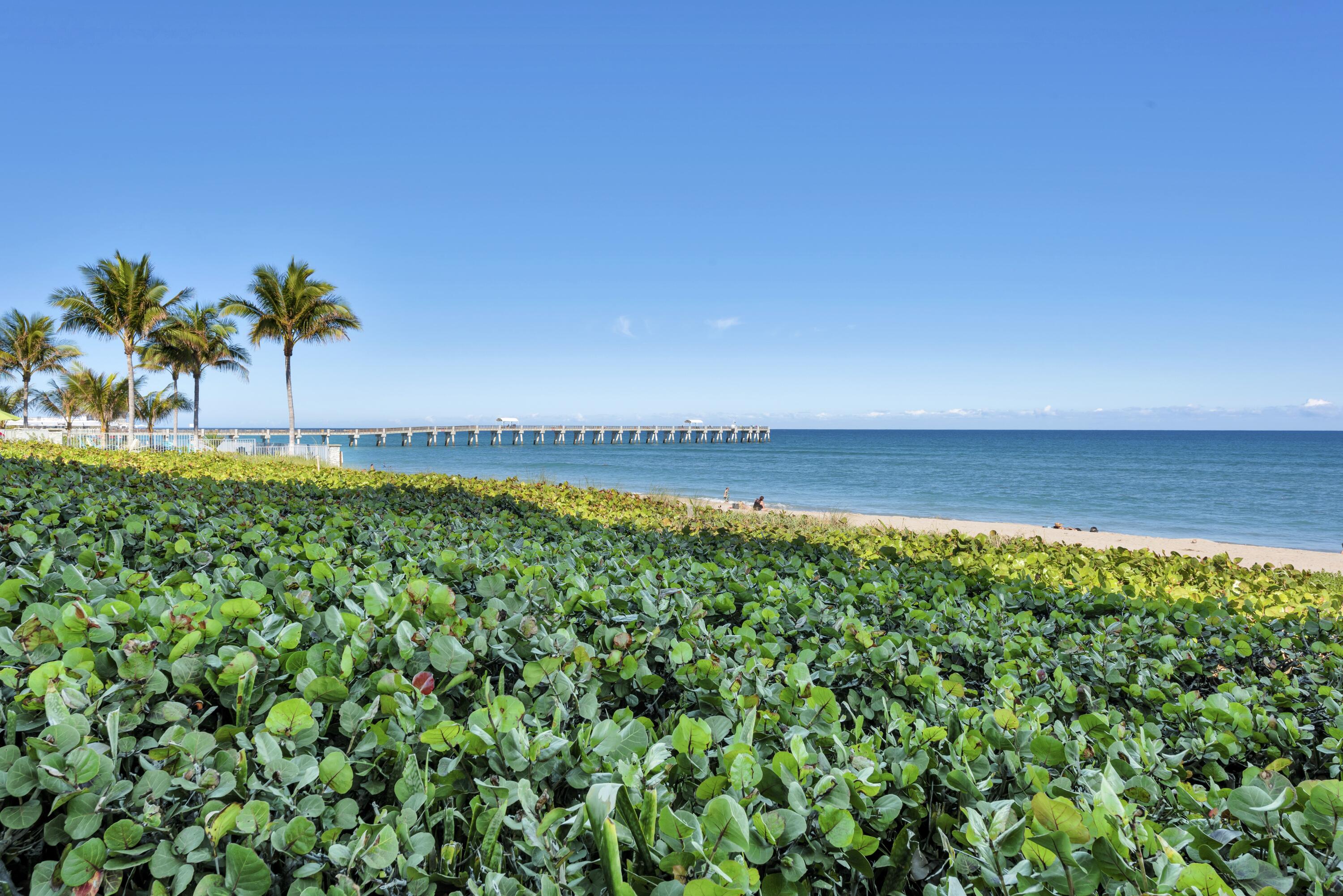 PALM BEACH HAMPTON COND - Residential