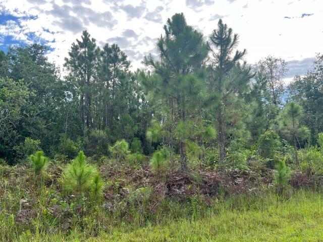 Much desired Leisure Lakes property on canal with direct access to Lake Carrie and Lake June!
Build your dream home or private get-a-way and have access to all your favorite water sports right at your back door!
All measurements are approximate.