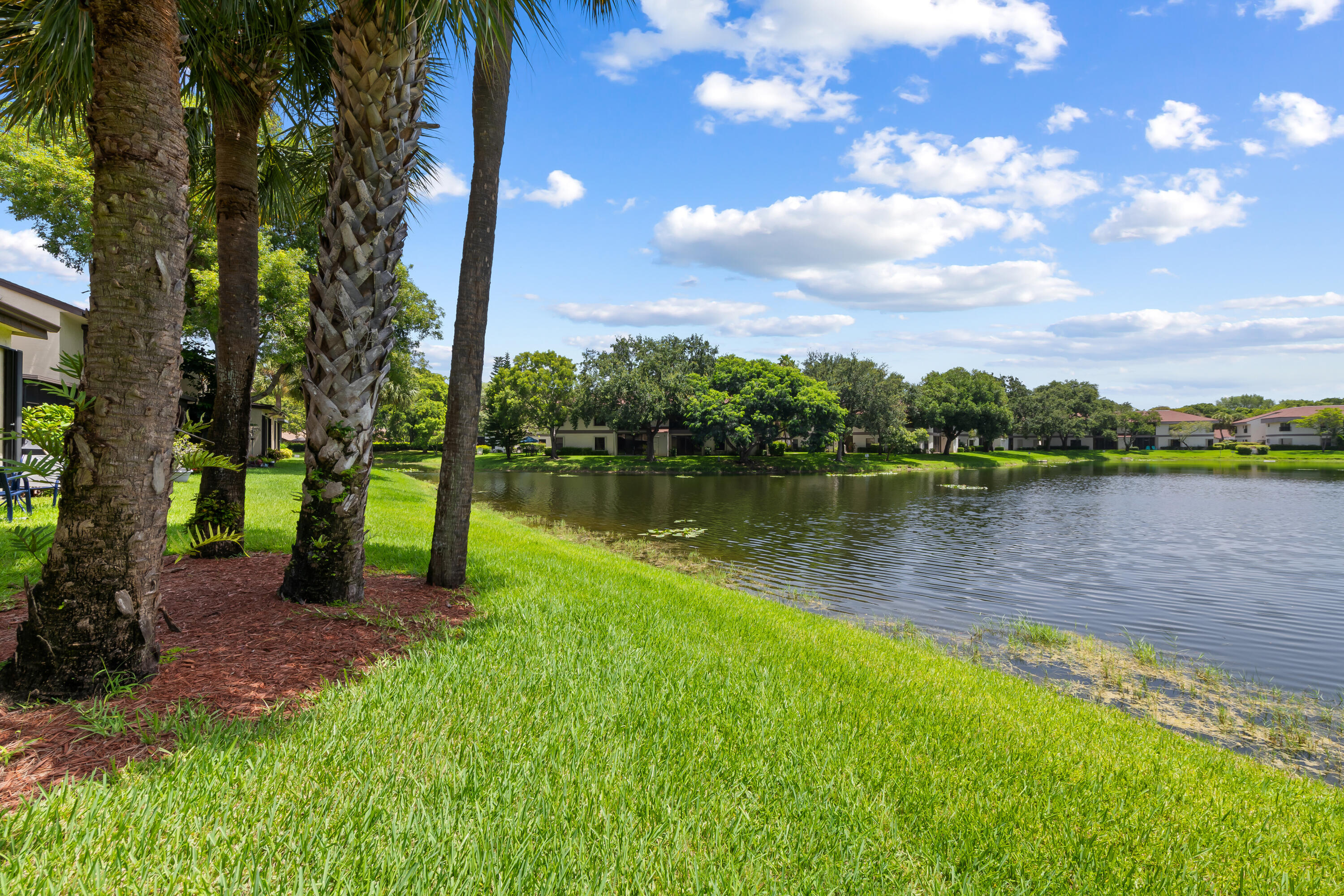 BAYWOOD VILLAGE III-A CONDO - Residential