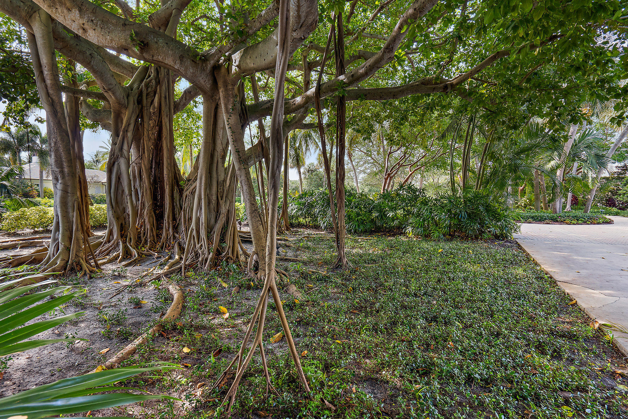 SEMINOLE LANDING - Residential