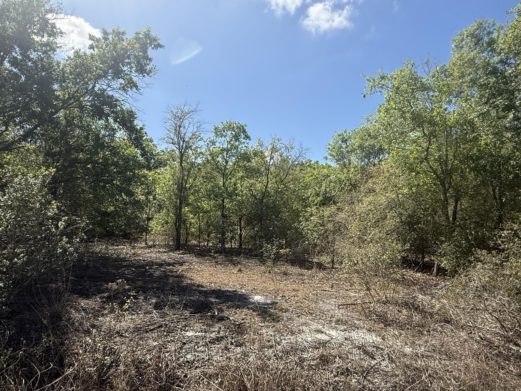 TRACT 12 - Land
