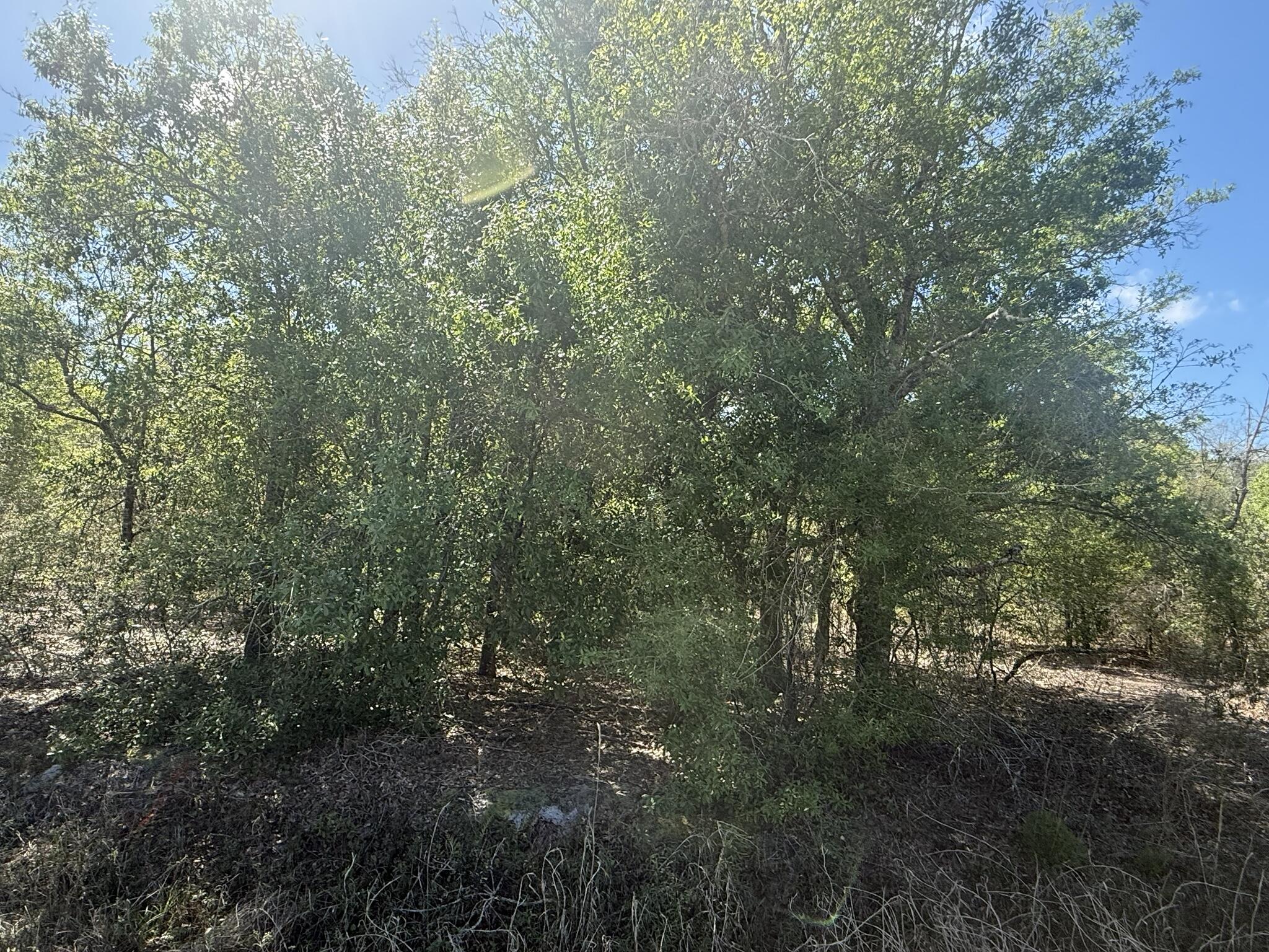 TRACT 12 - Land