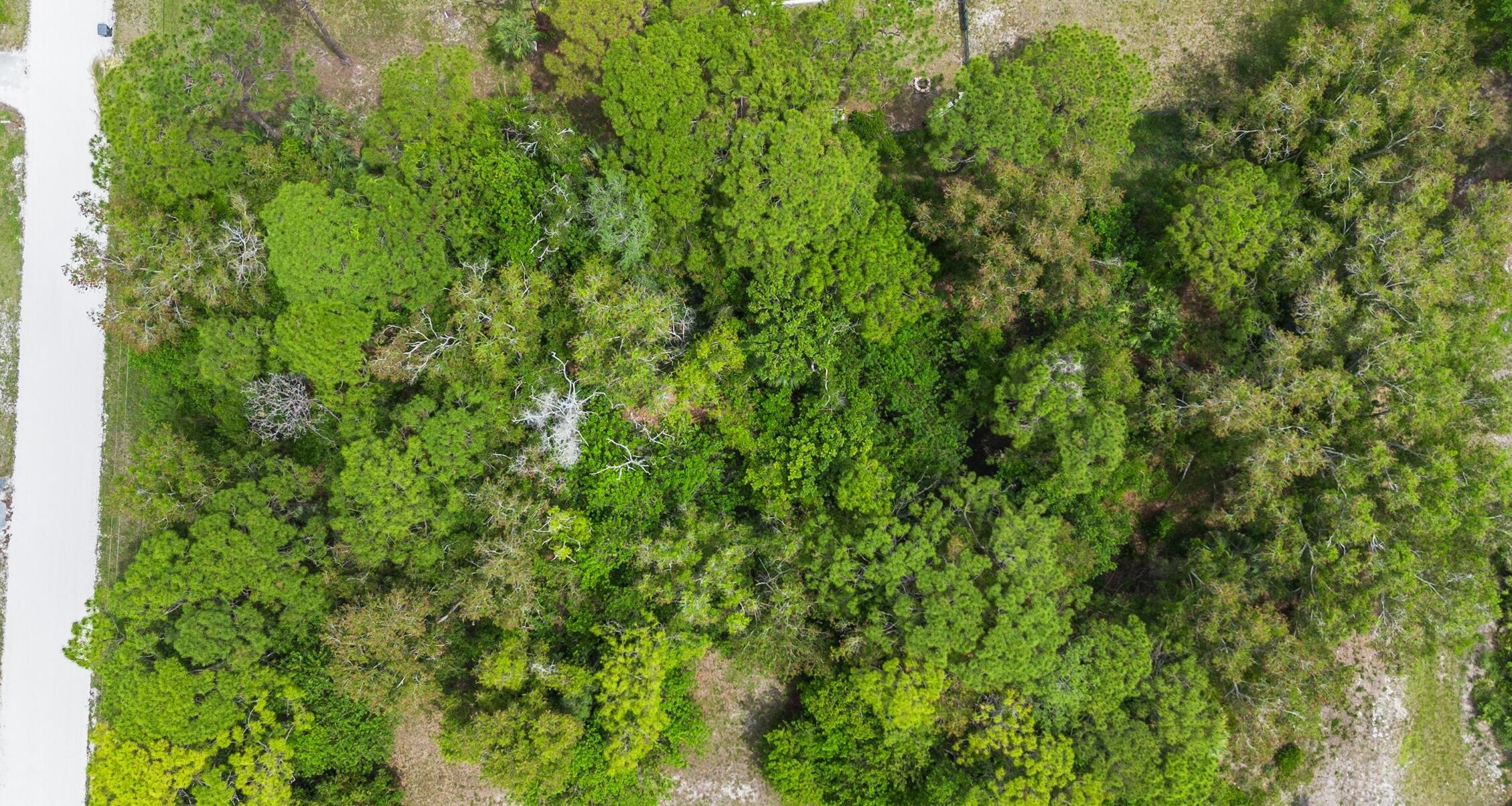 The Acreage - Land