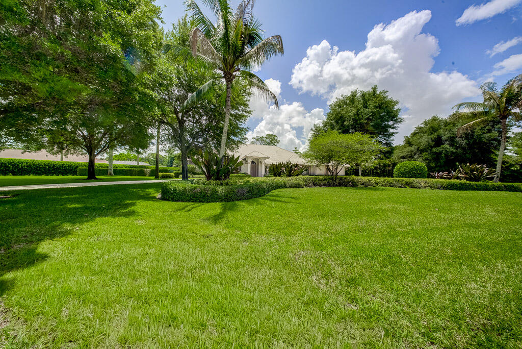 PINEWOOD OF WELLINGTON - Residential