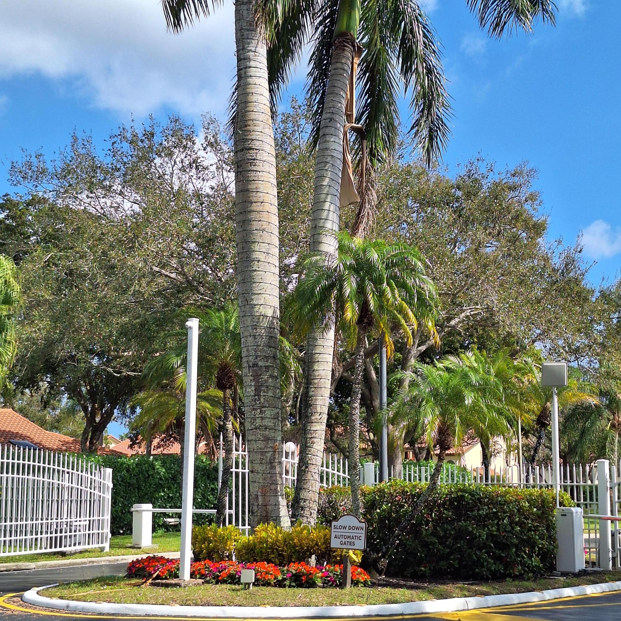 PALM CHASE LAKES CONDO - Residential
