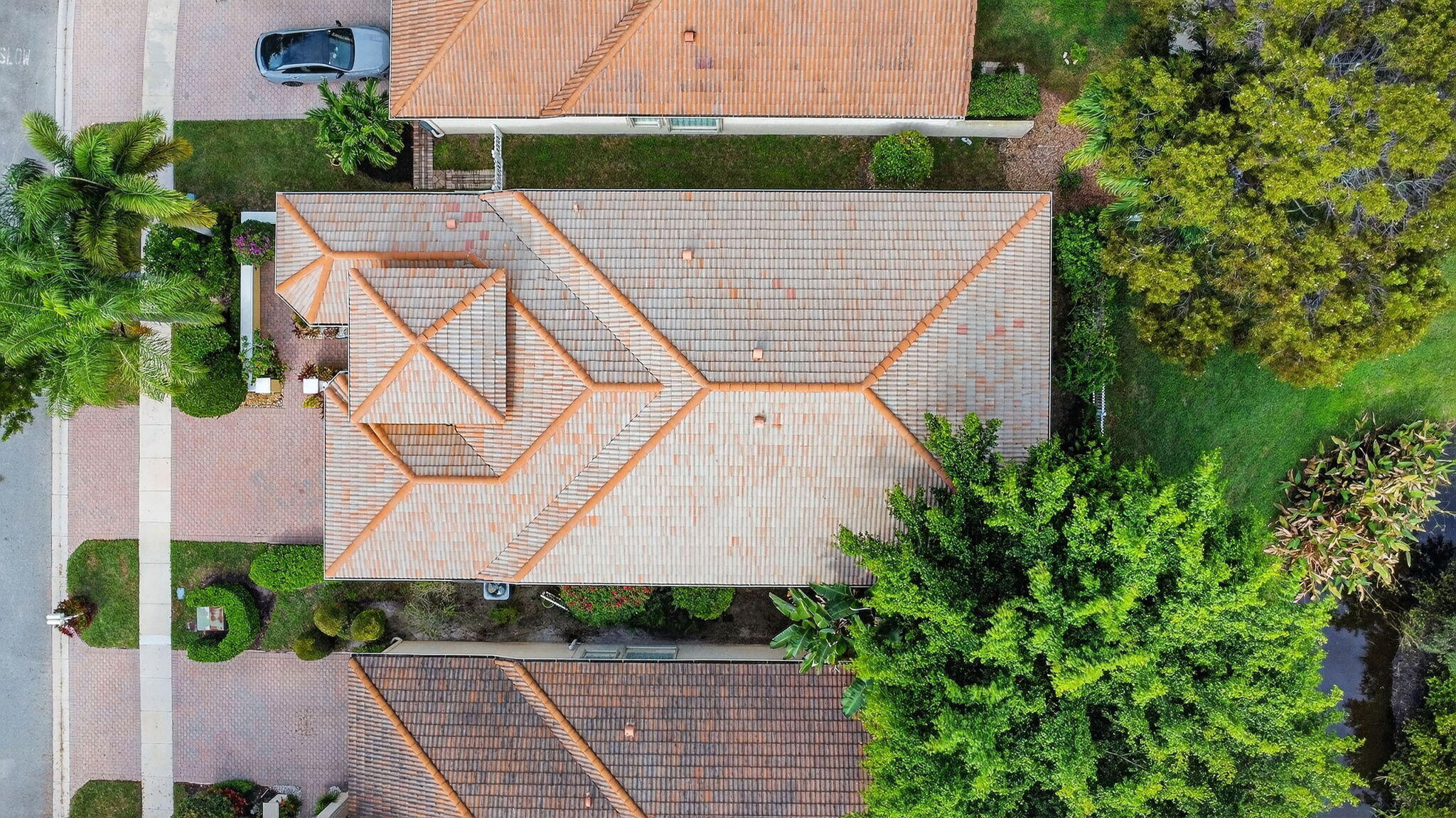 BUENA VIDA - Residential