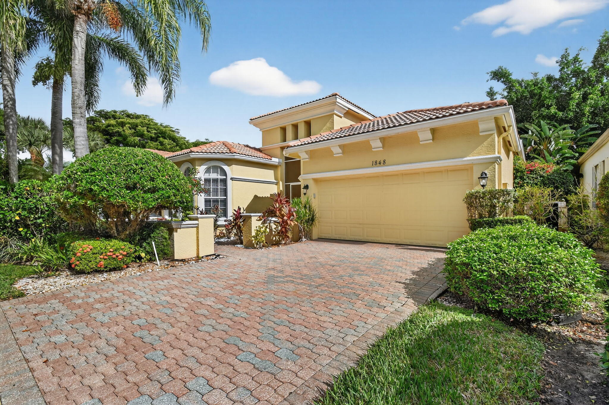 BUENA VIDA - Residential